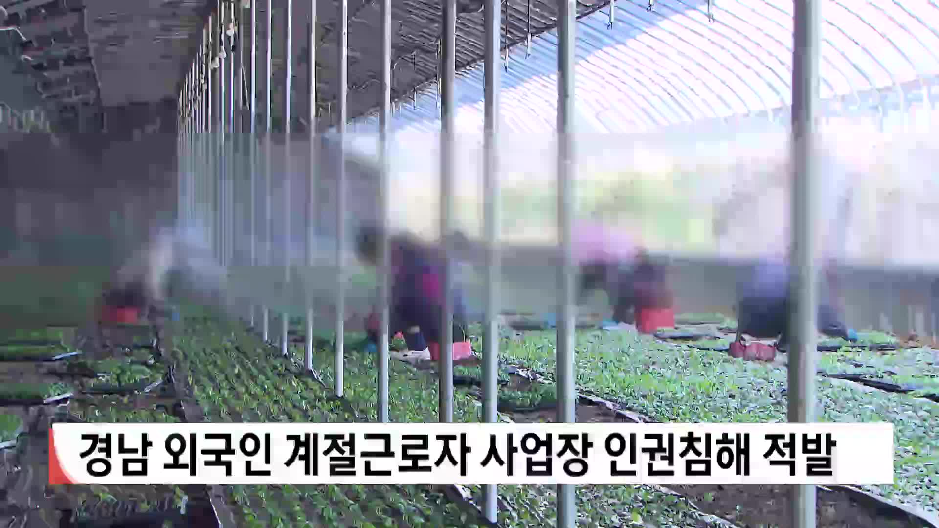 경남 외국인 계절근로자 사업장 인권침해 적발
