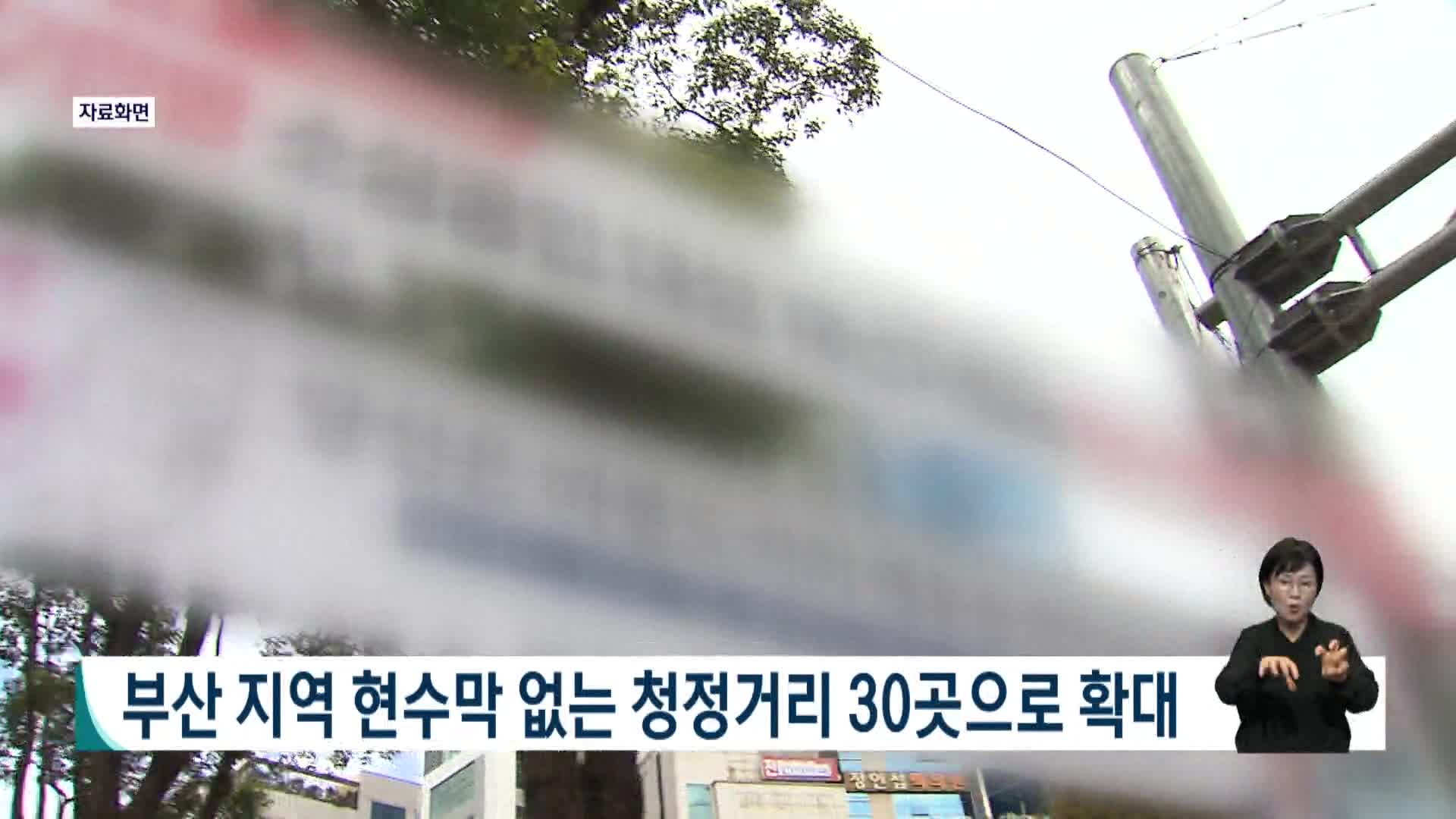부산지역 현수막 없는 청정거리 30곳으로 확대