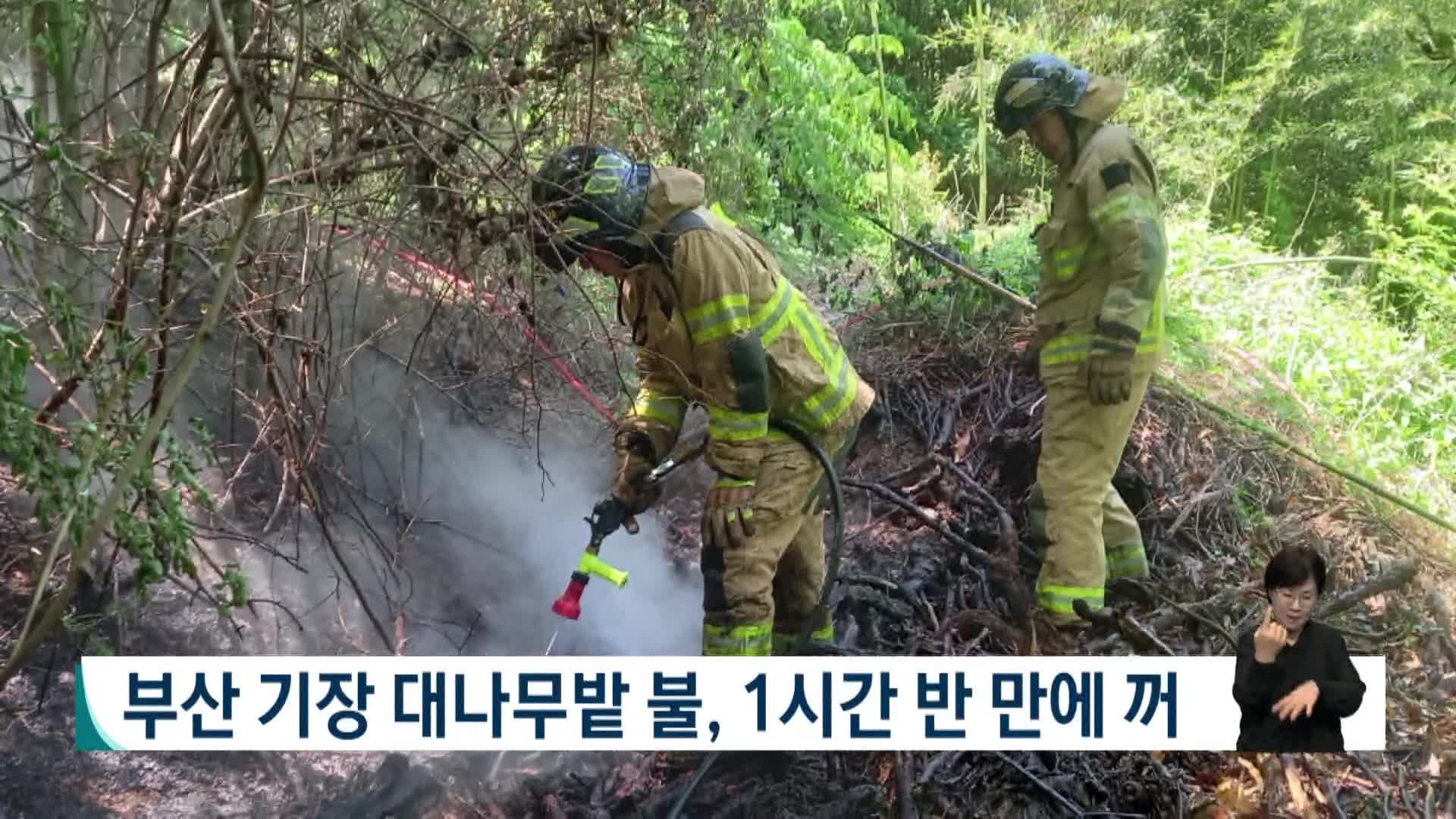 부산 기장 대나무밭 불, 1시간 반만에 꺼