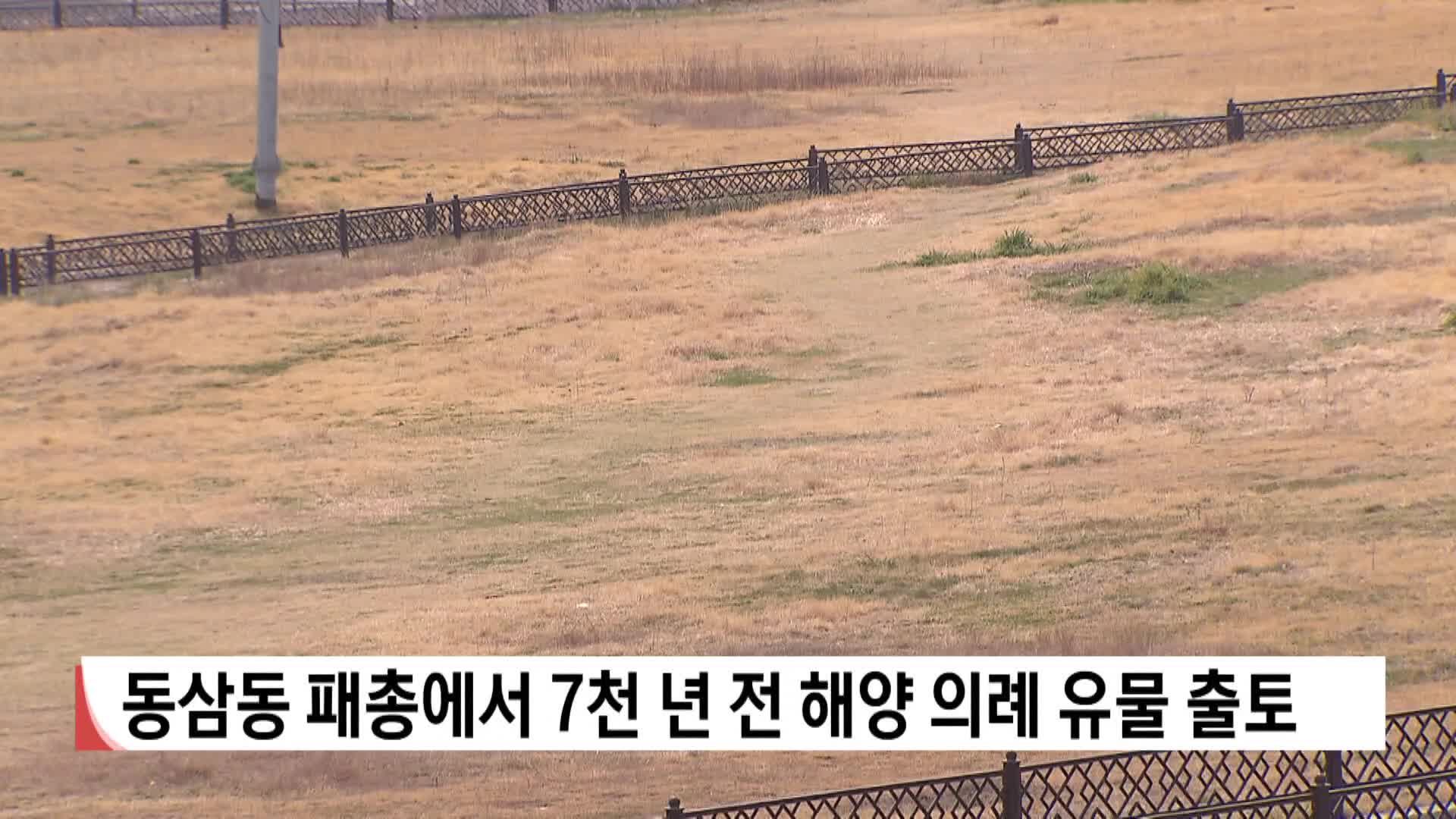 동삼동 패총서 7천년 전 해양 의례 유물 출토
