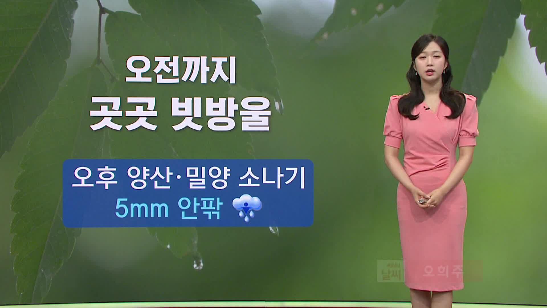 <모닝와이드 날씨>오전까지 곳곳 빗방울..이번 주 평년 수준 초여름