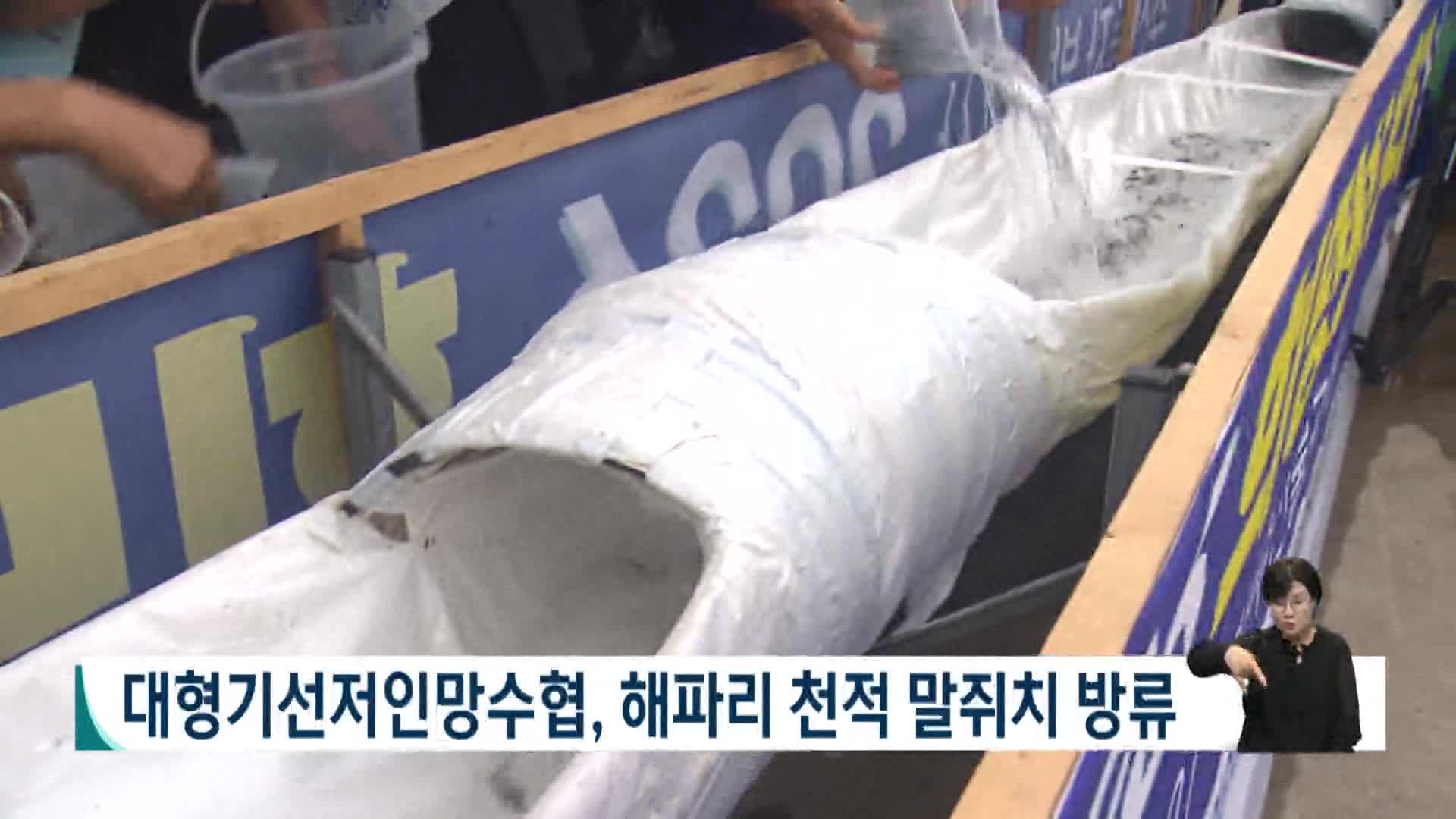 대형기선저인망수협, 해파리 천적 말쥐치 방류