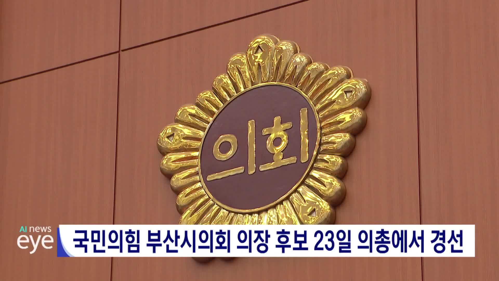 국민의힘 부산시의회 의장 후보 23일 의총서 경선
