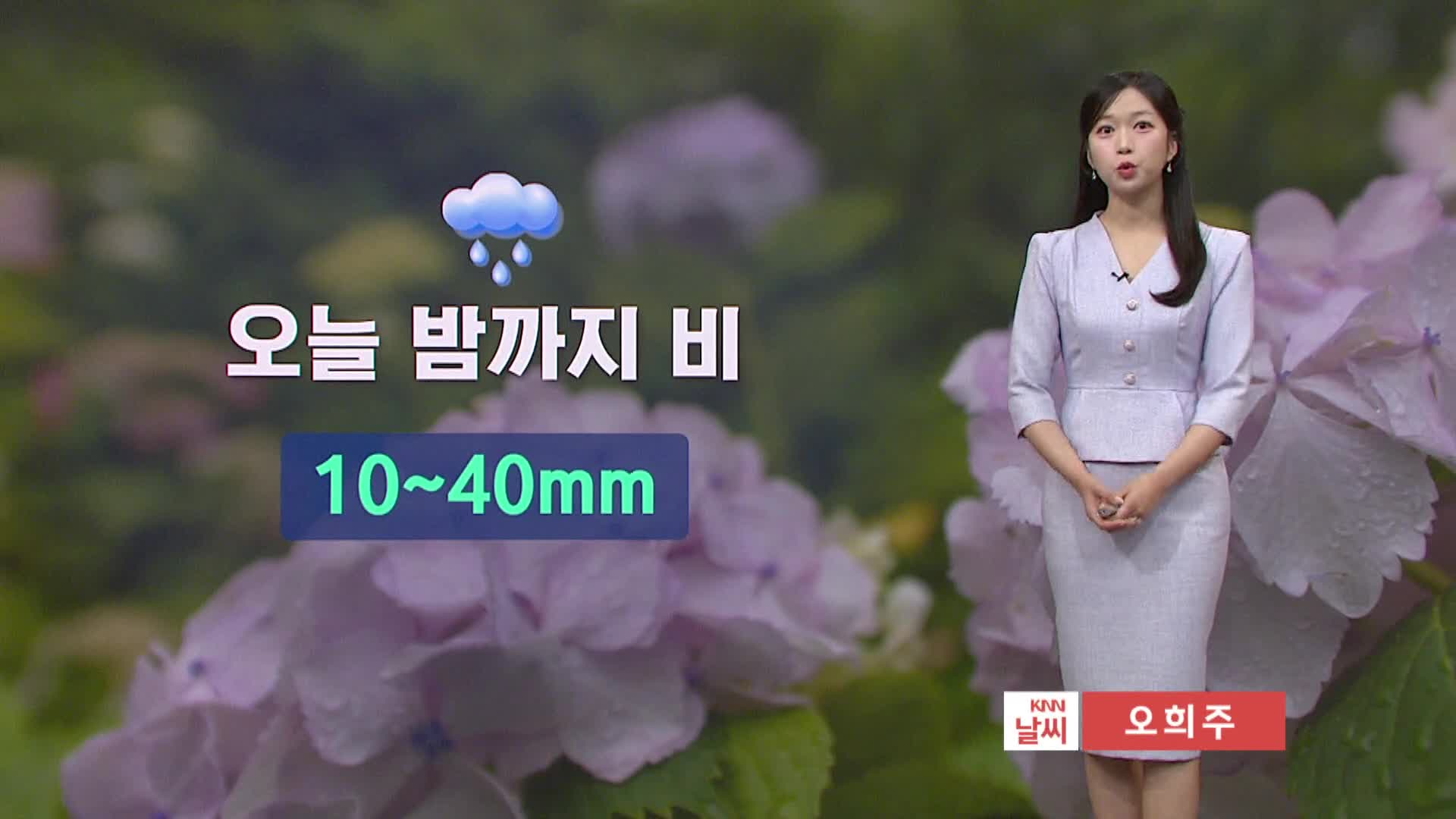 [모닝와이드 날씨] 오늘 밤까지 비..이번 주 더위 꺾여, 24도 안팎