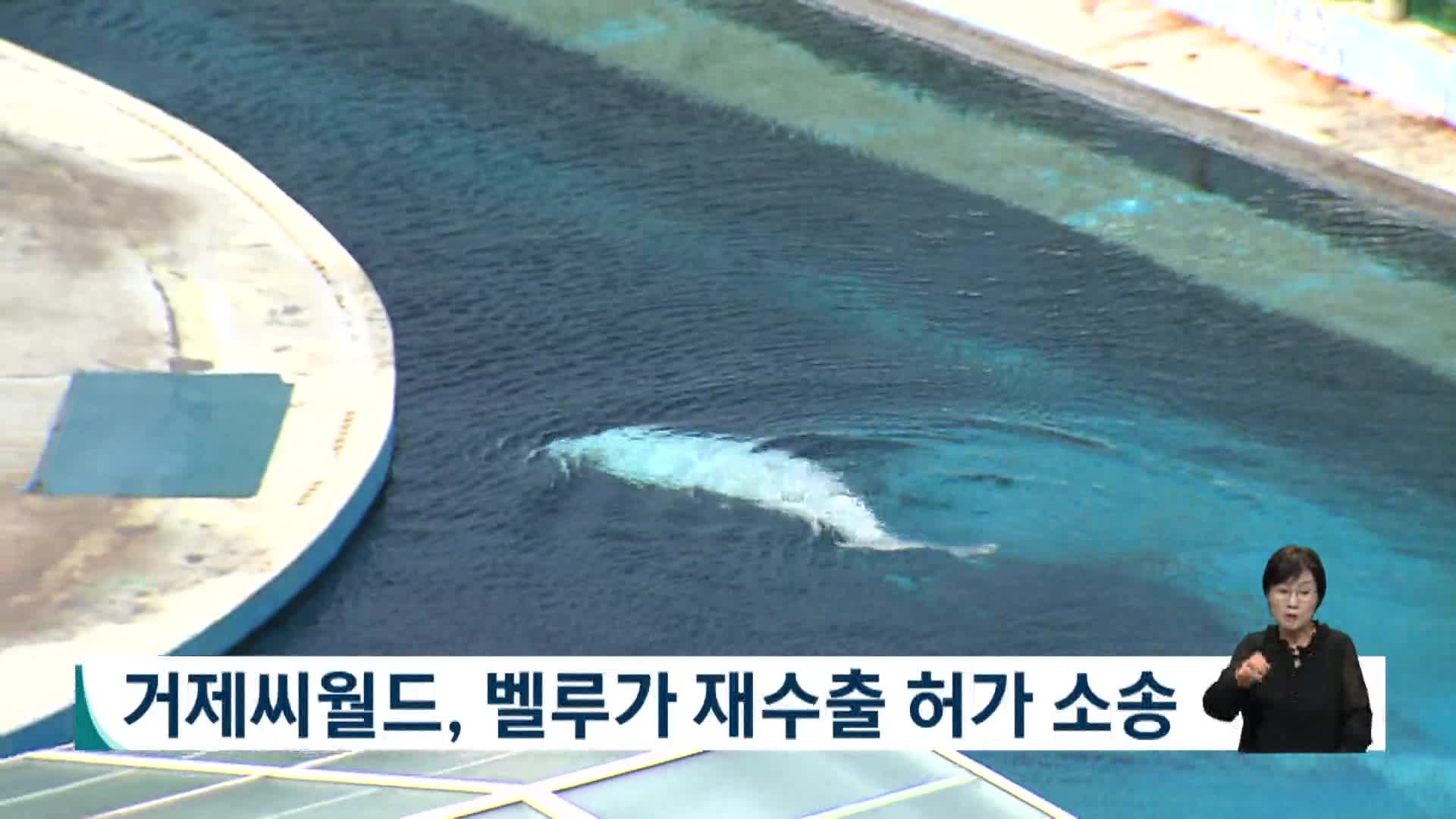 거제씨월드, 벨루가 재수출 허가 소송