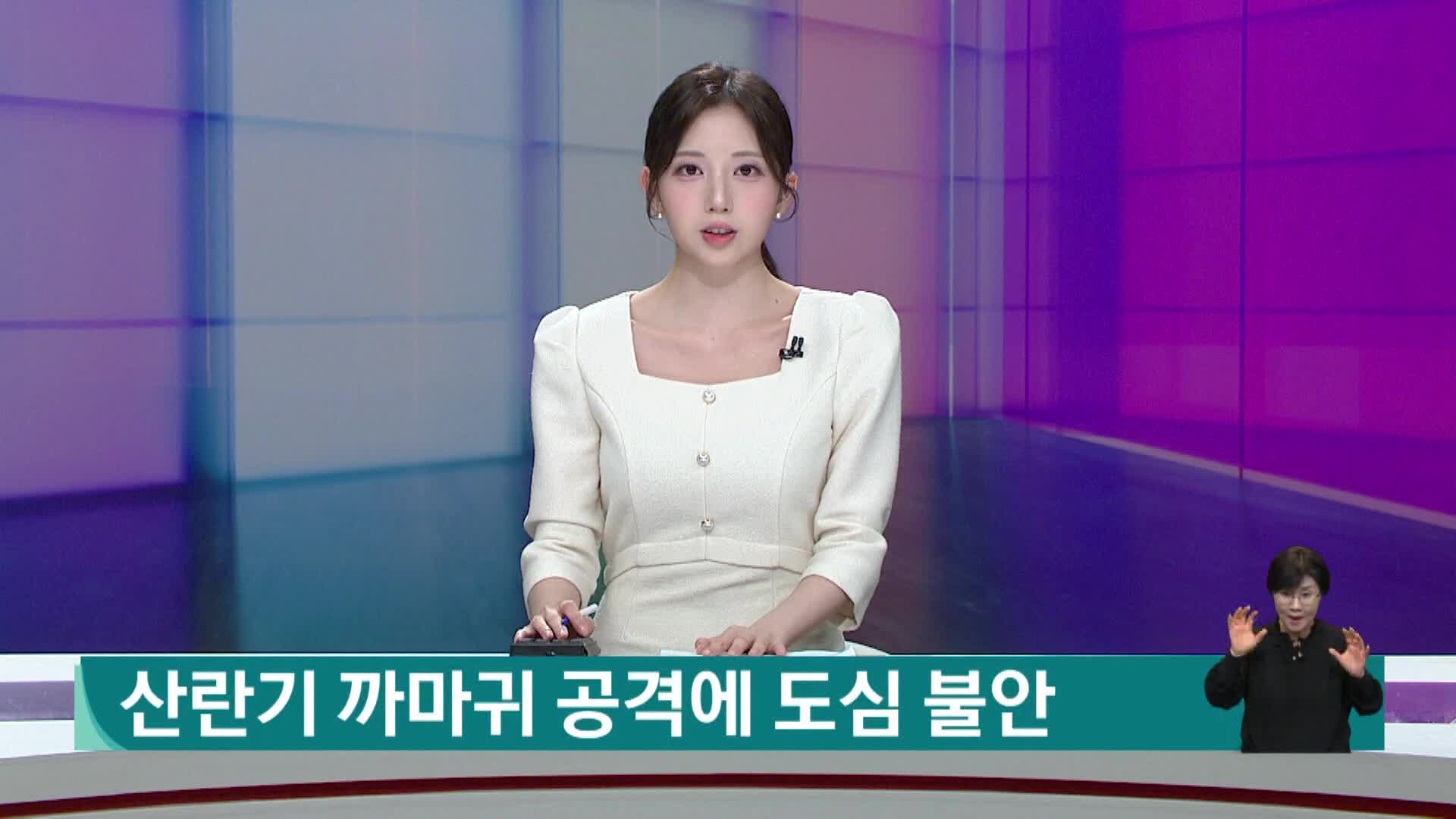 산란기 까마귀 공격에 도심 불안
