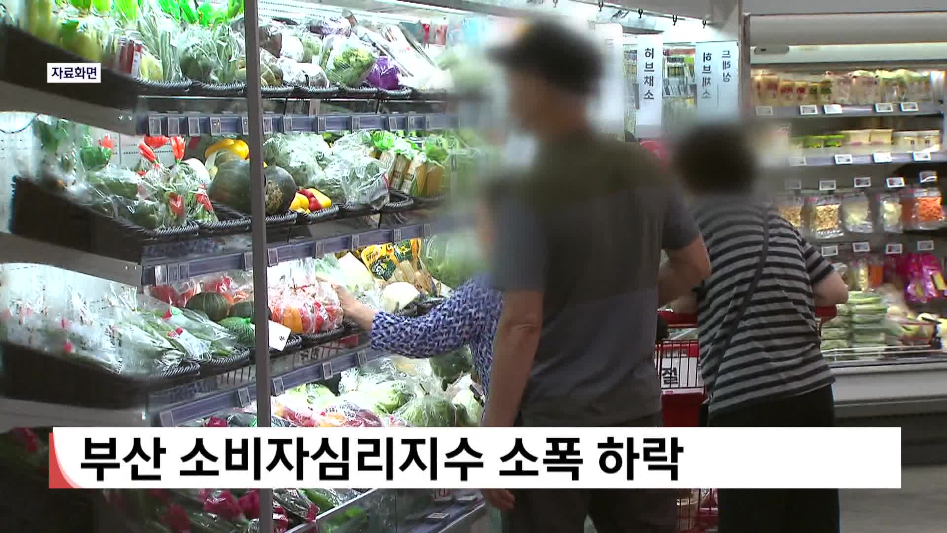 부산 소비자심리지수 소폭 하락