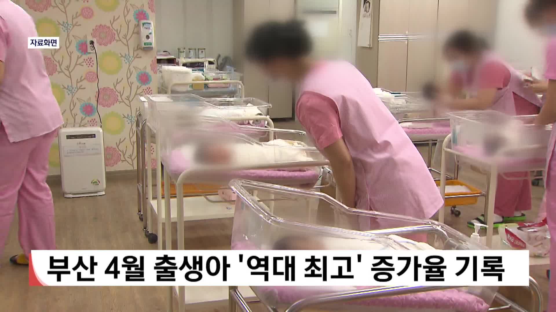 부산 4월 출생아 '역대 최고' 증가율 기록