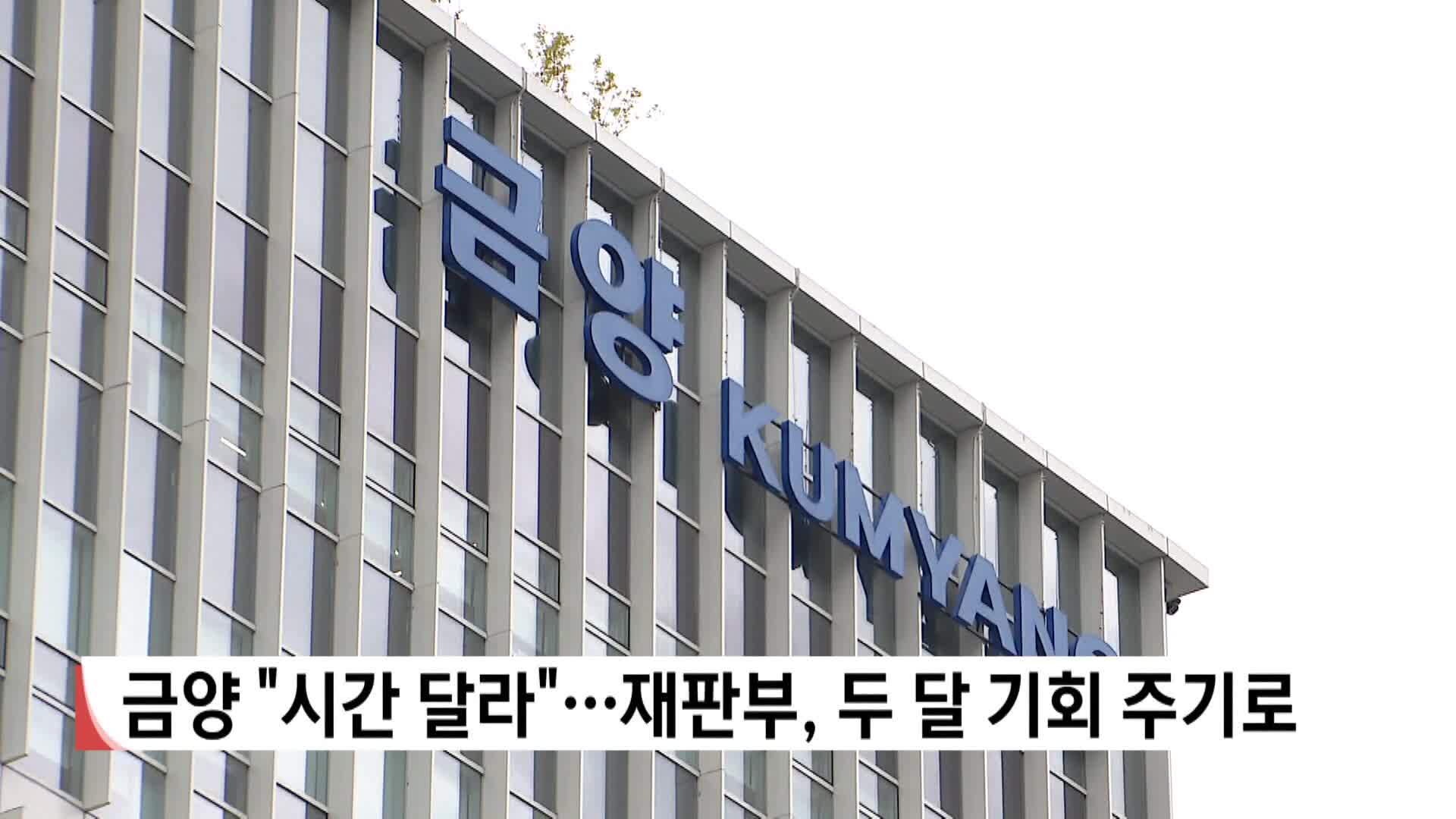 금양 "시간 달라"...재판부, 두달 기회 주기로
