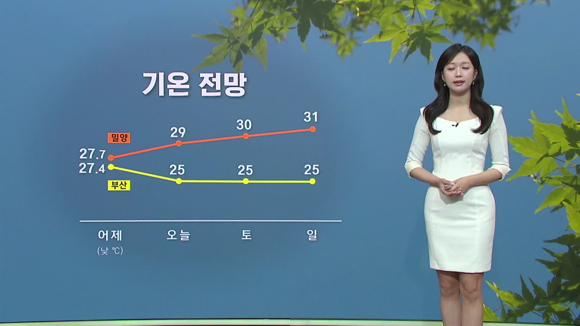[모닝와이드 날씨] 내륙 중심 낮더위, 강한 자외선..곳곳 소나기