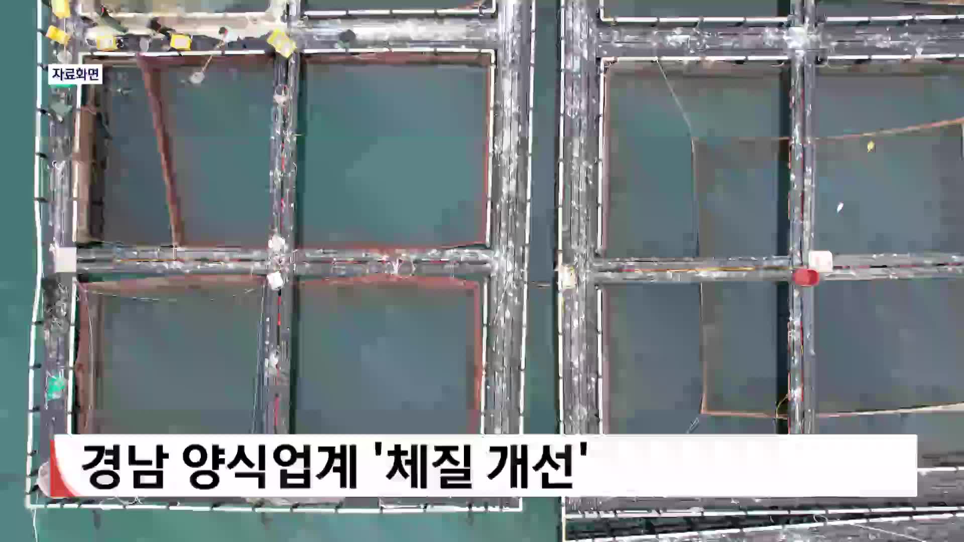 경남 양식업계 '체질 개선' 