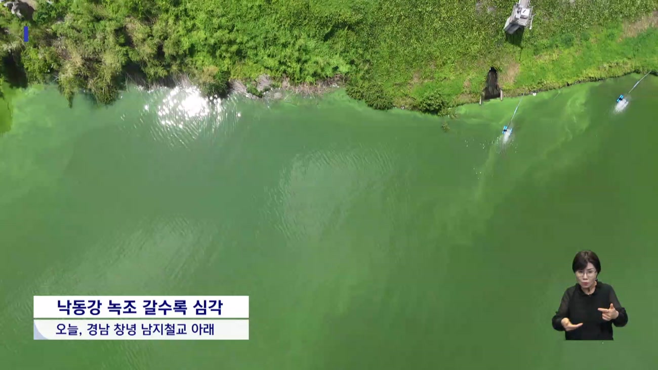 독해진 녹조, 일상이 된 식수불안 '만선9기 1번 과제'