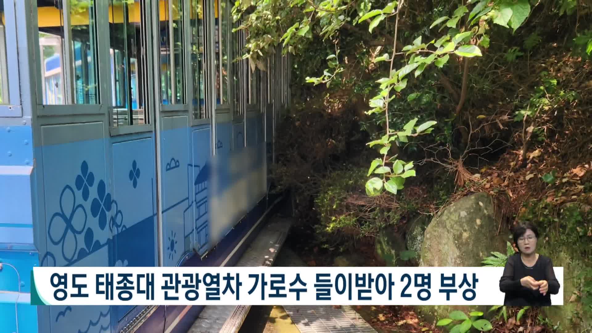 영도 태종대 다누비 관광열차 가로수 들이받아 2명 부상