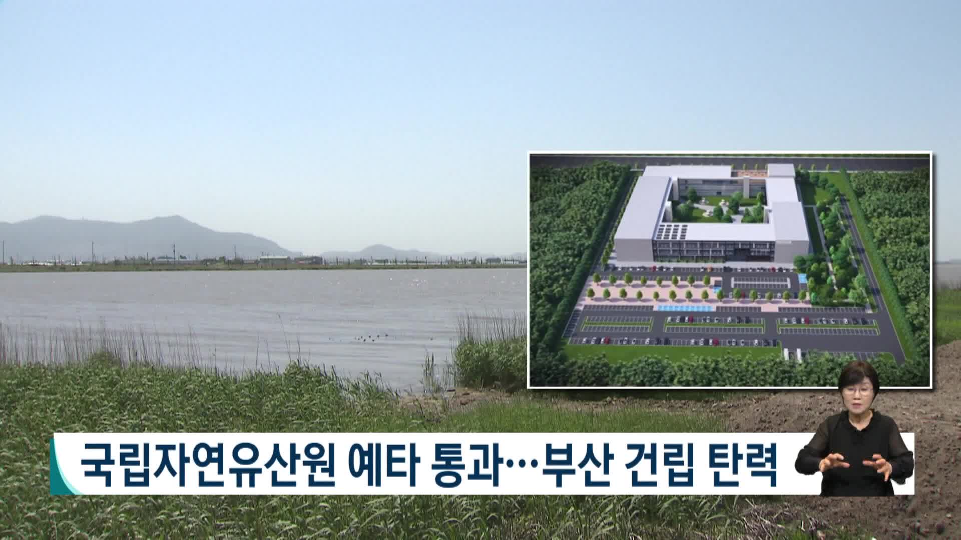 국립자연유산원 예타 통과..부산 건립 탄력