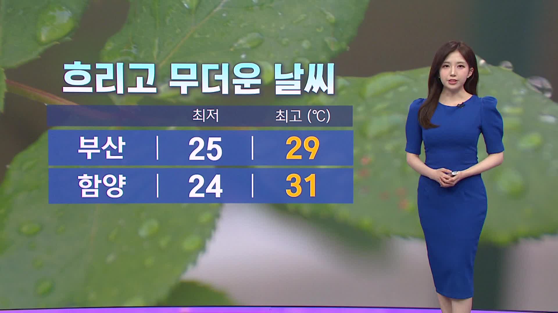 <뉴스아이 날씨>대체로 흐리고 무더운 날씨