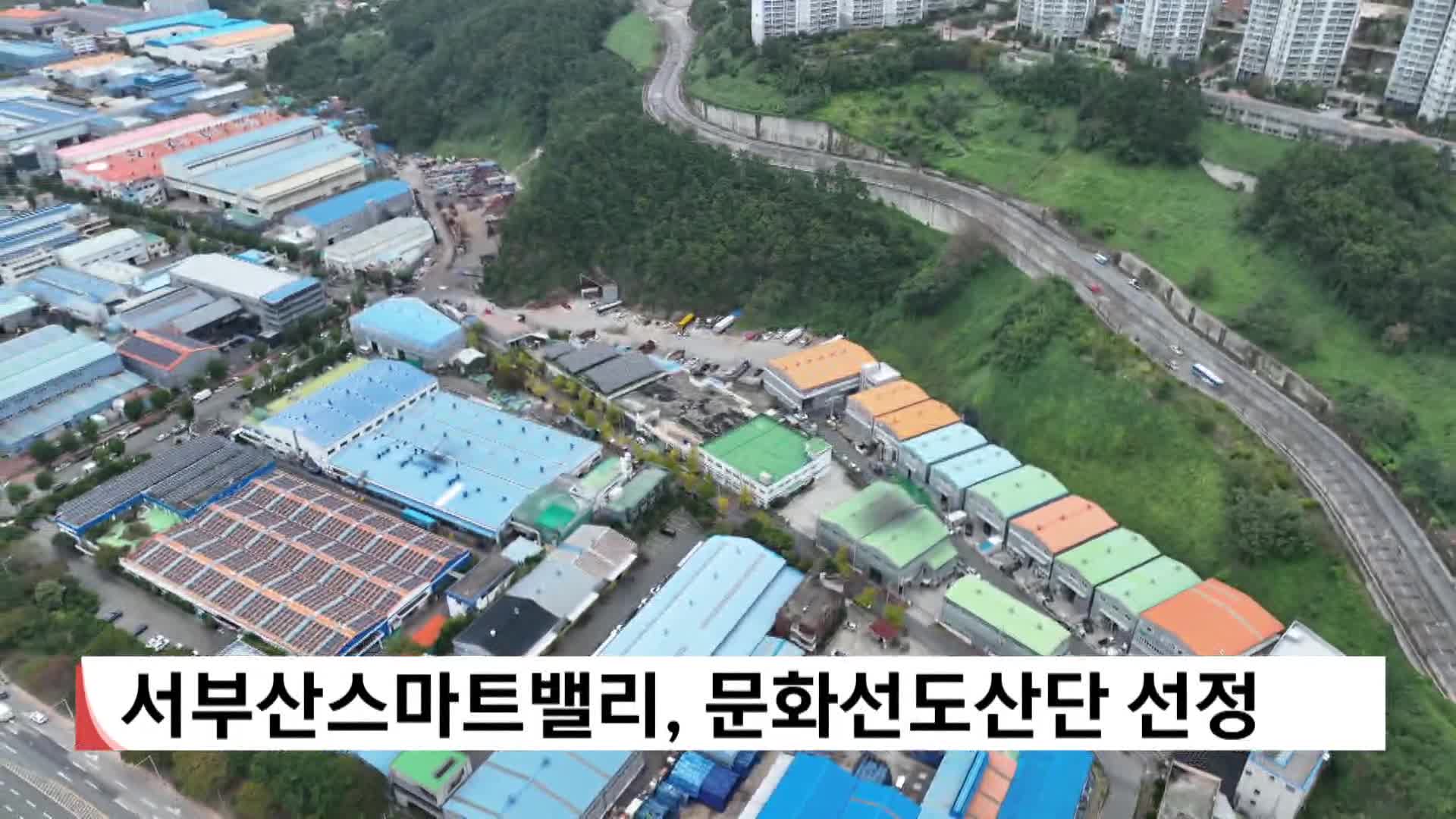 서부산스마트밸리, 문화선도산단 선정