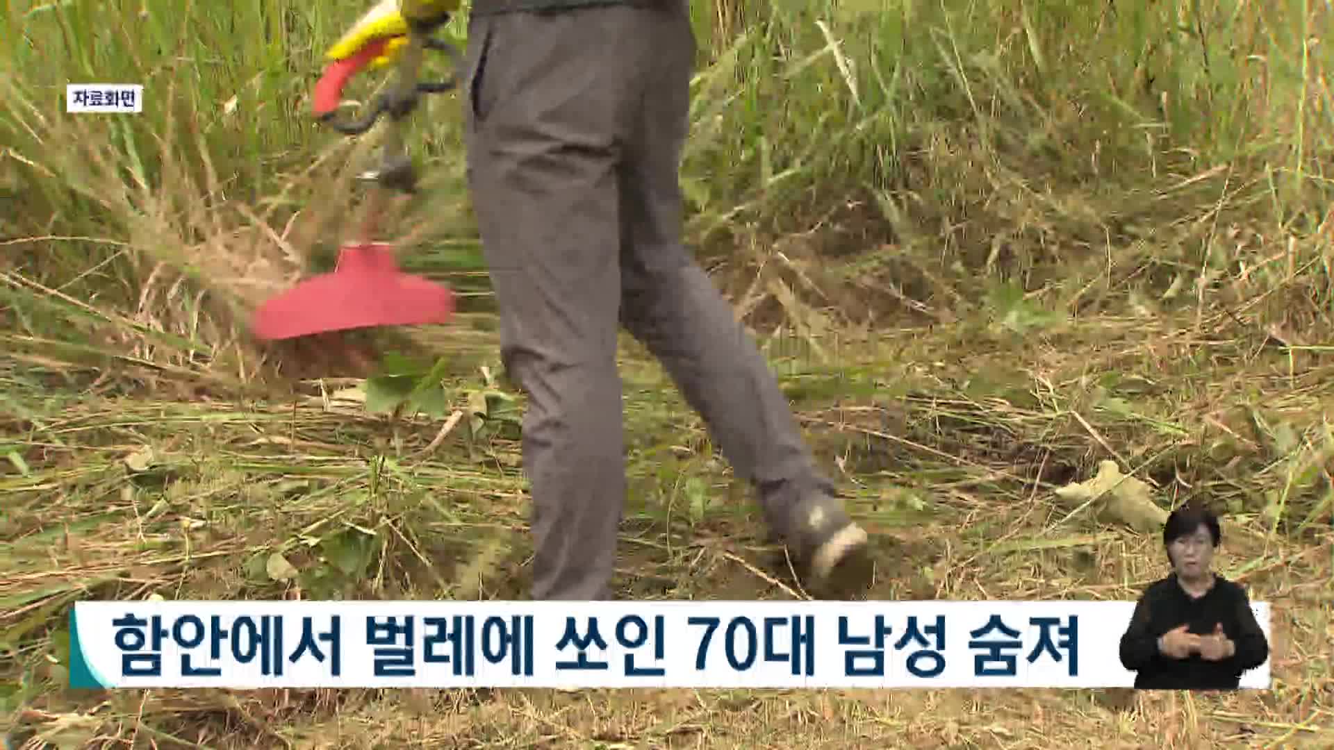 함안에서 벌레에 쏘인 70대 남성 숨져