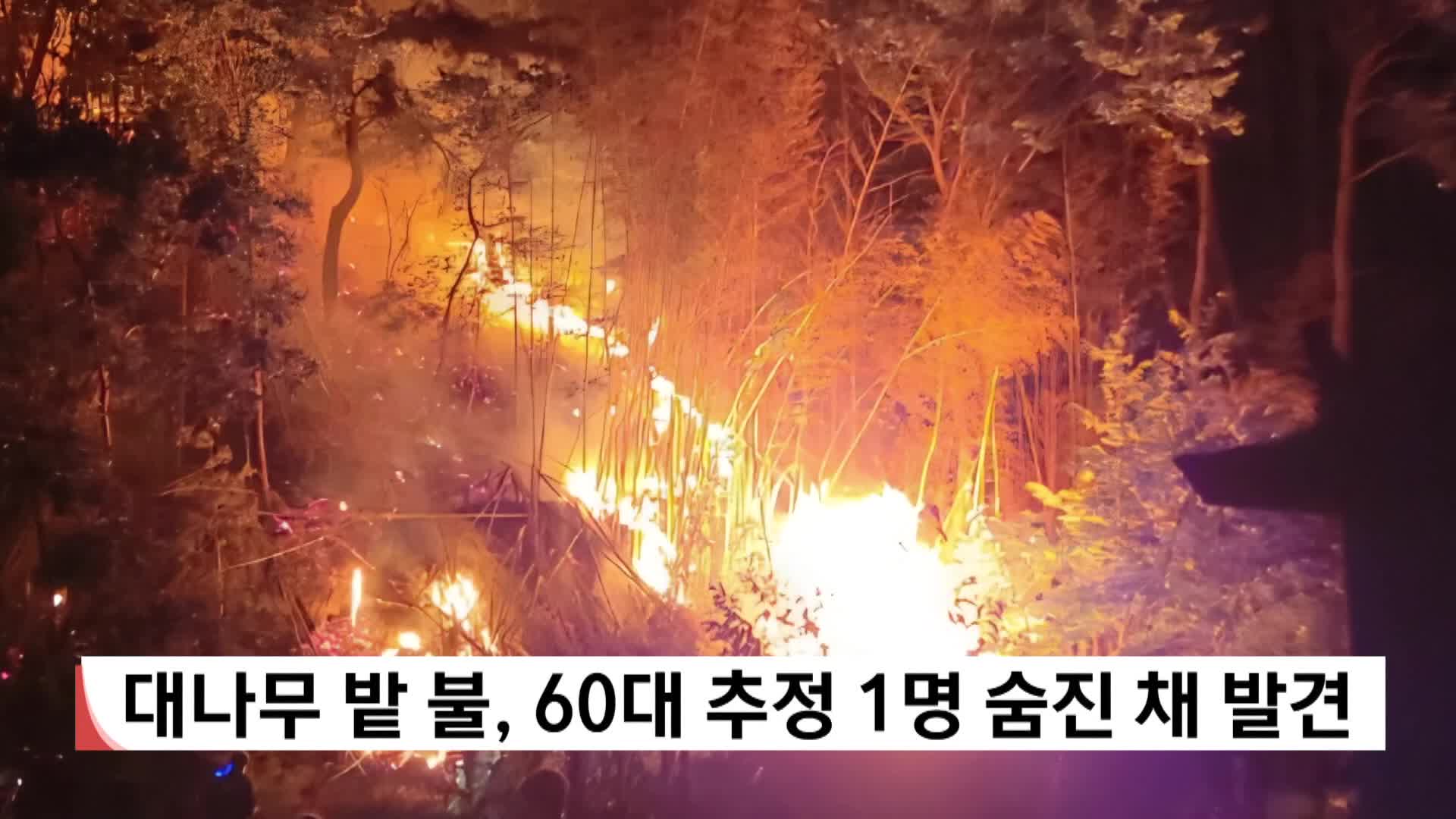 대나무 밭 불, 60대 추정 1명 숨진 채 발견