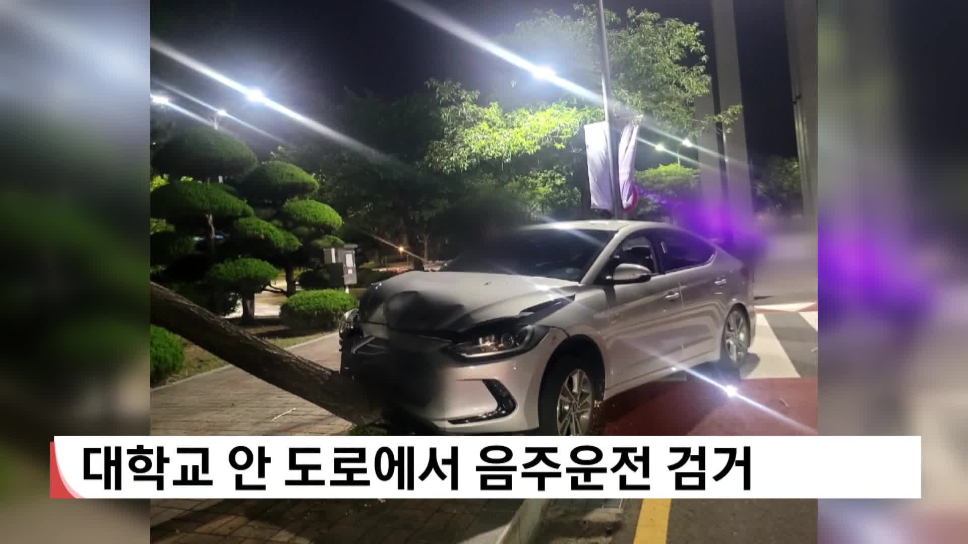 대학교 안 도로서 음주운전 검거