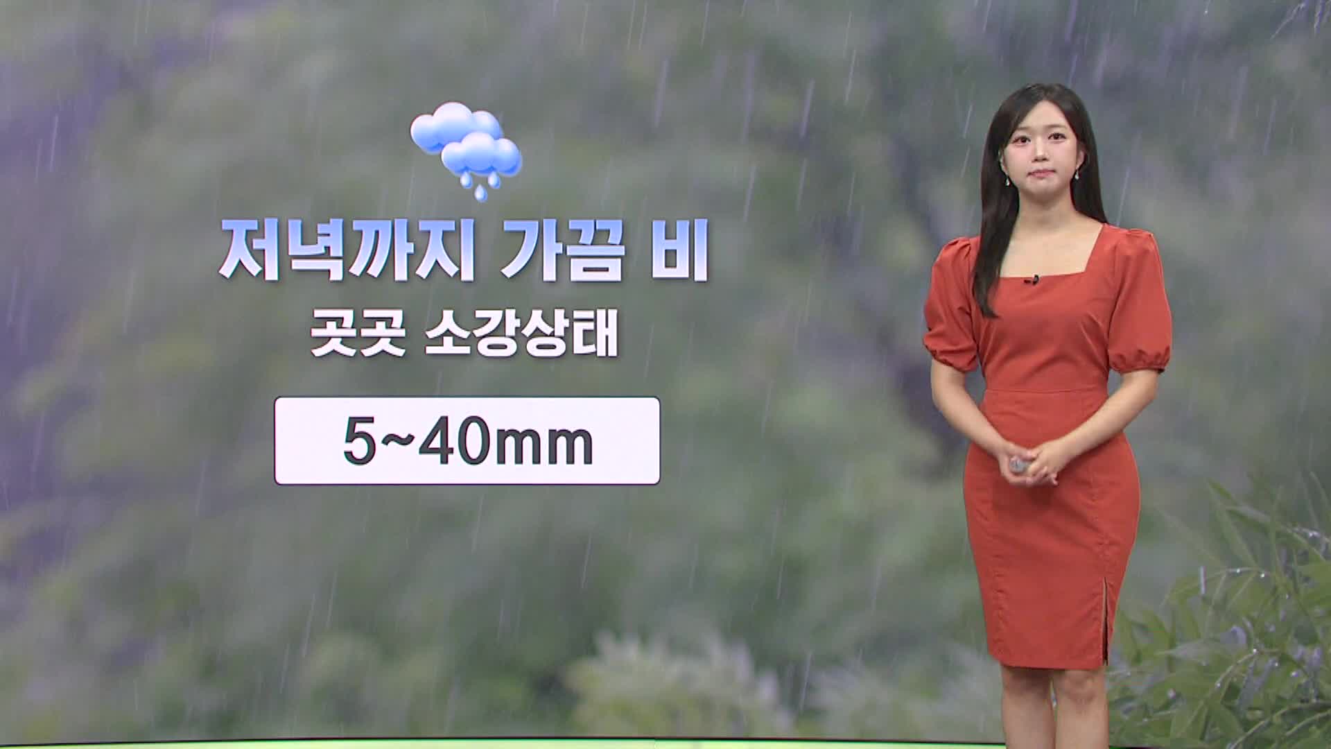 <모닝와이드 날씨>저녁까지 가끔 비, 무더위 기승..해안 안개 주의