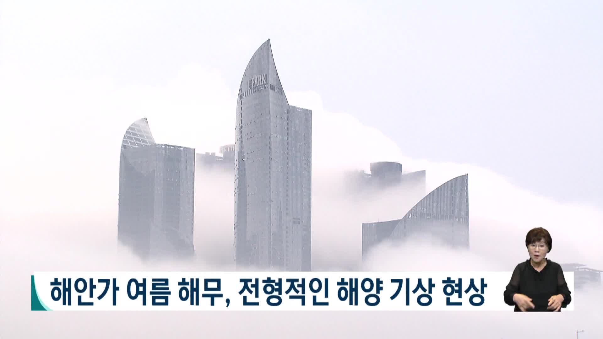 해운대 등 여름 해무, 전형적인 해양 기상현상