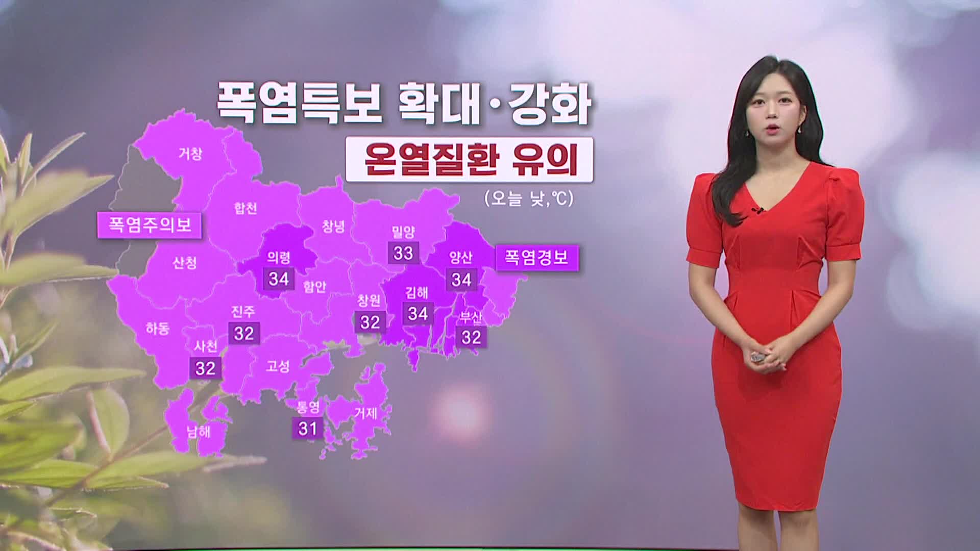 <모닝와이드 날씨>폭염 더 심해져..서부내륙 비, 해안 안개