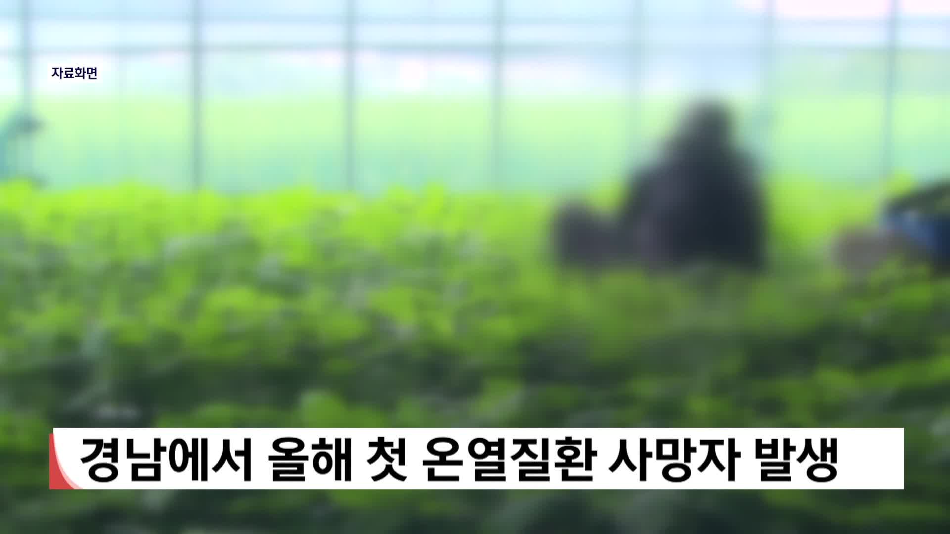 경남에서 올해 첫 온열질환 사망자 발생