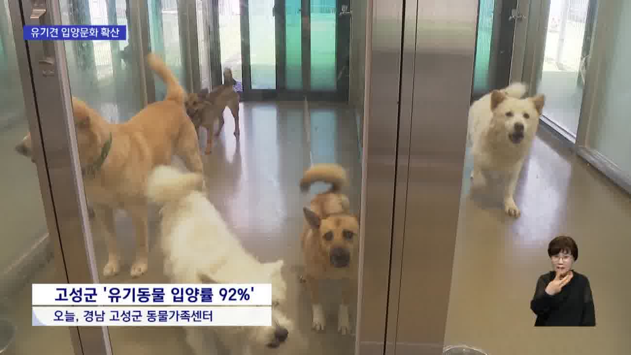 유기견 입양률 92%...비결은?