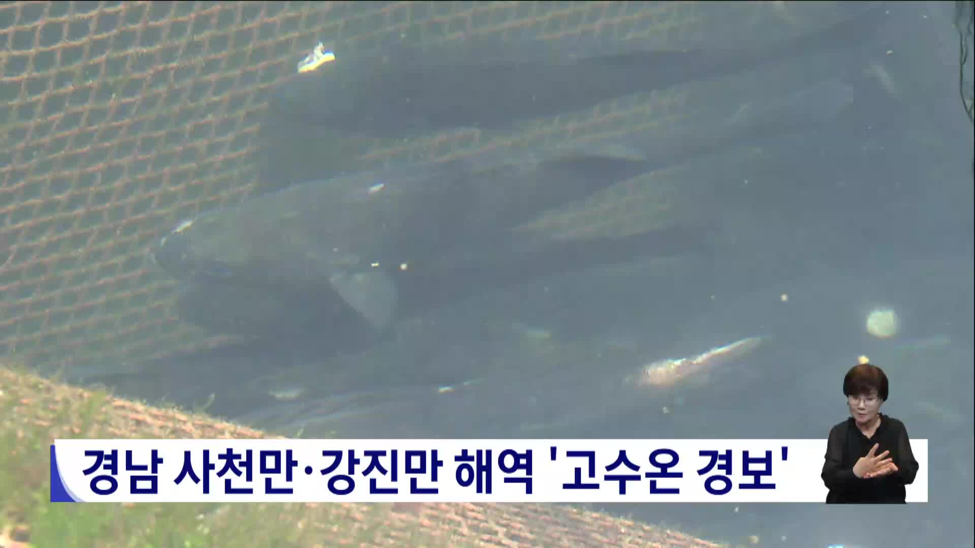 경남 사천만*강진만 해역 '고수온 경보' 