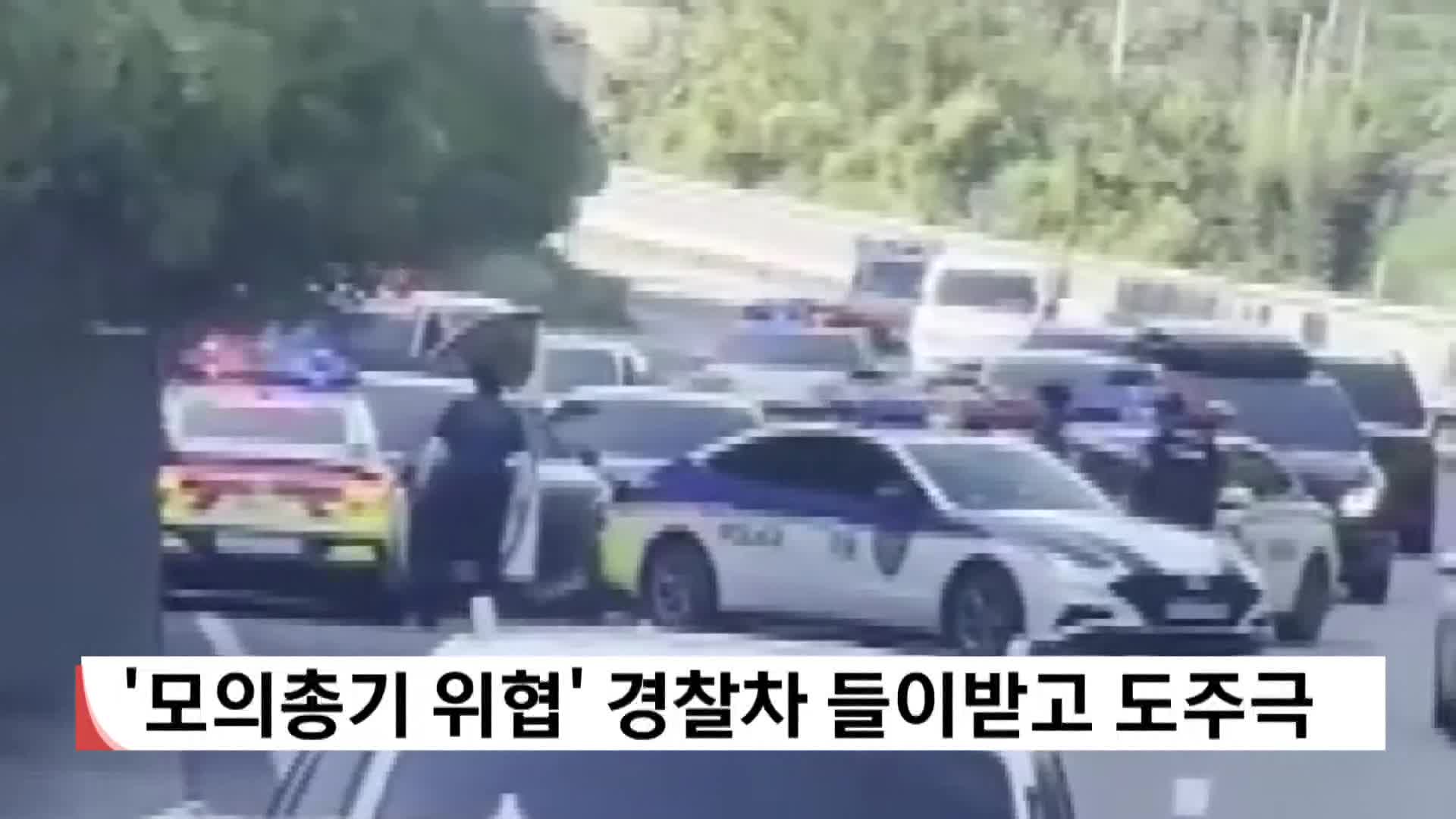 모의총기 위협한뒤 경찰차 들이받고 도주극