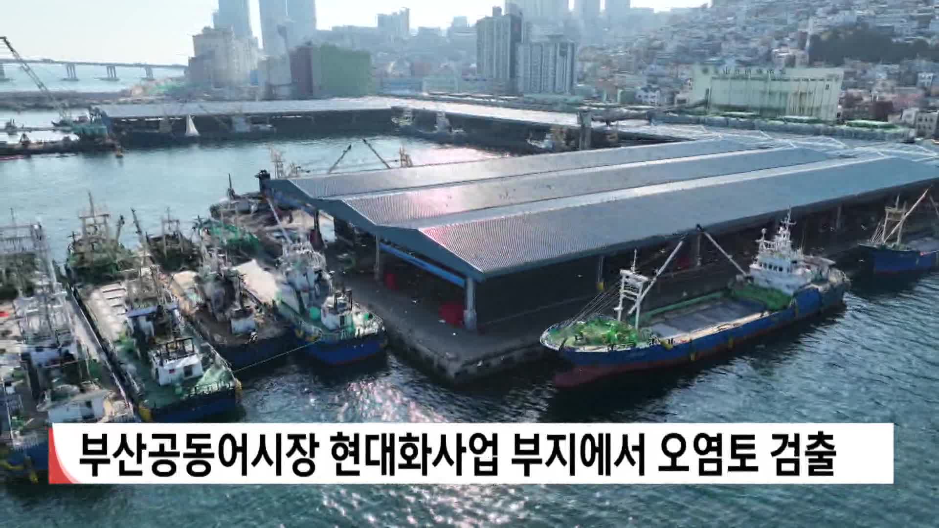 부산공동어시장 현대화사업 부지서 오염토 검출