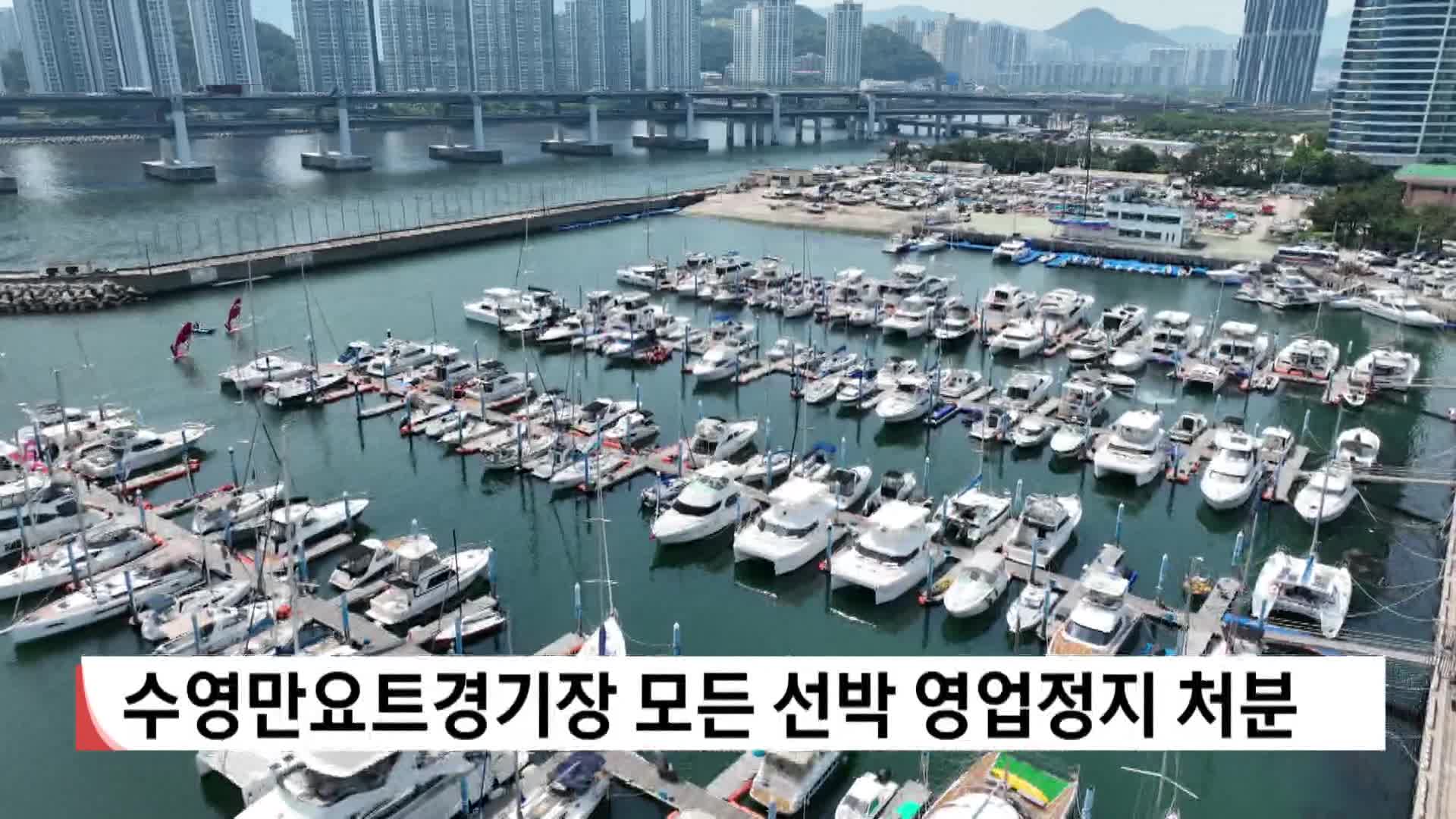 수영만요트경기장 모든 선박 영업정지 처분