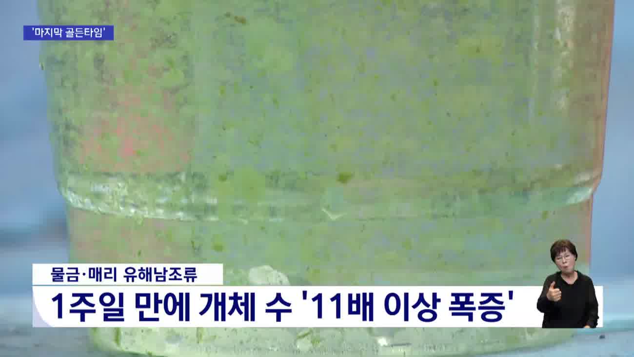 녹조 확대 속 "취수원 다변화" 목소리 커져