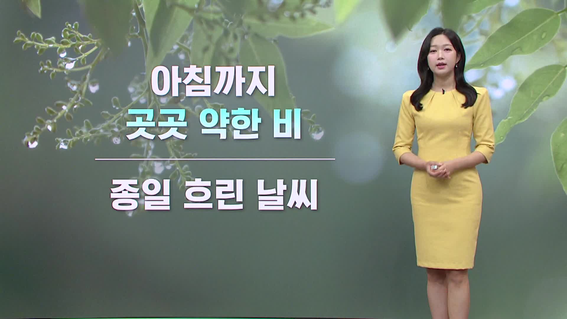 <모닝와이드 날씨>무더위 지속, 한낮 33도 안팎..해안 강한 바람