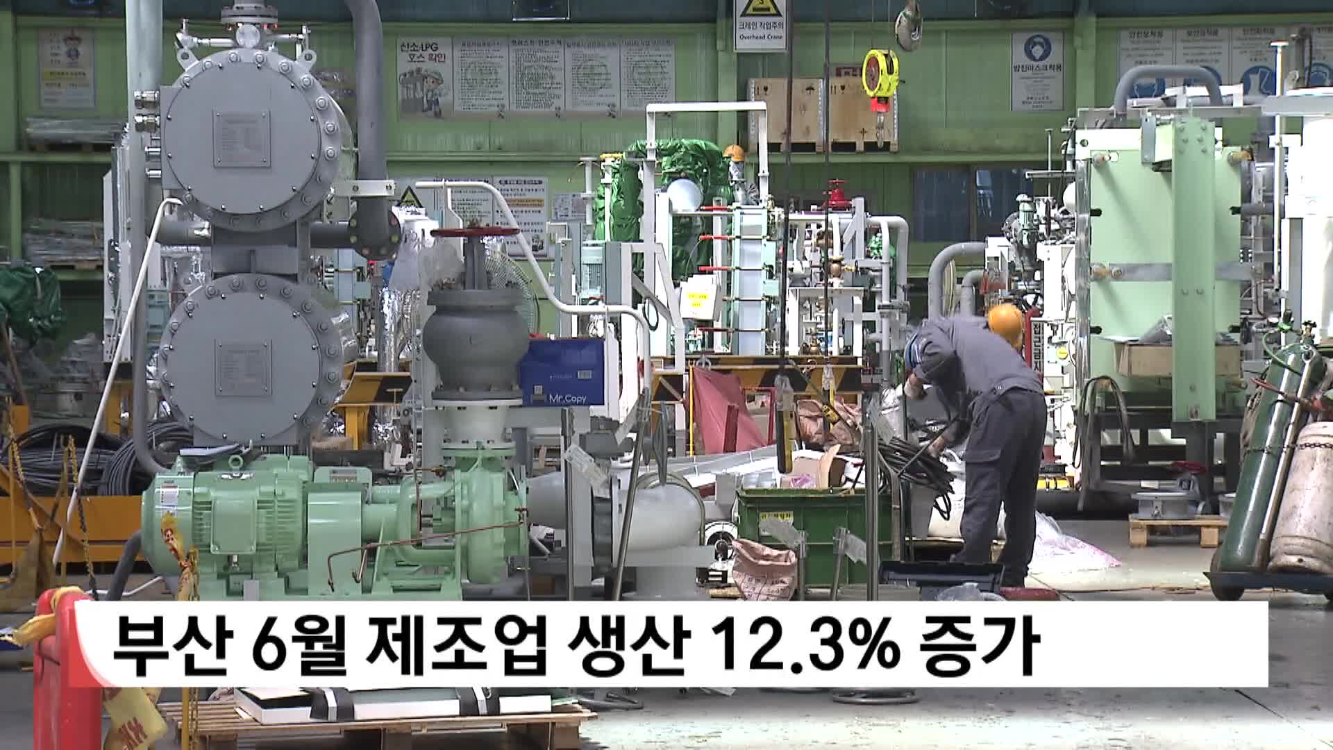 부산 6월 제조업 생산 12.3% 증가