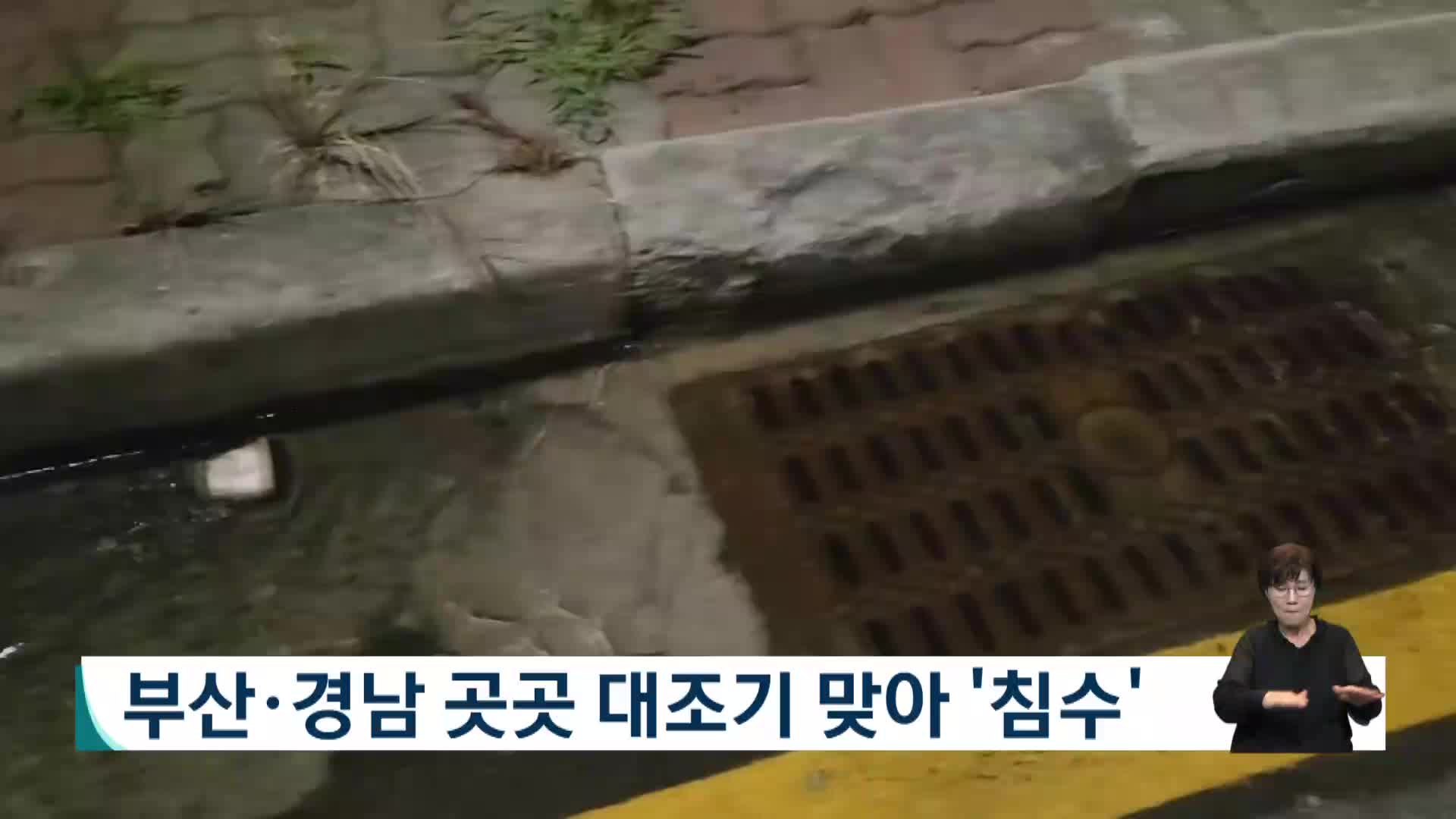대조기 맞아 부산*경남 도로 침수 피해