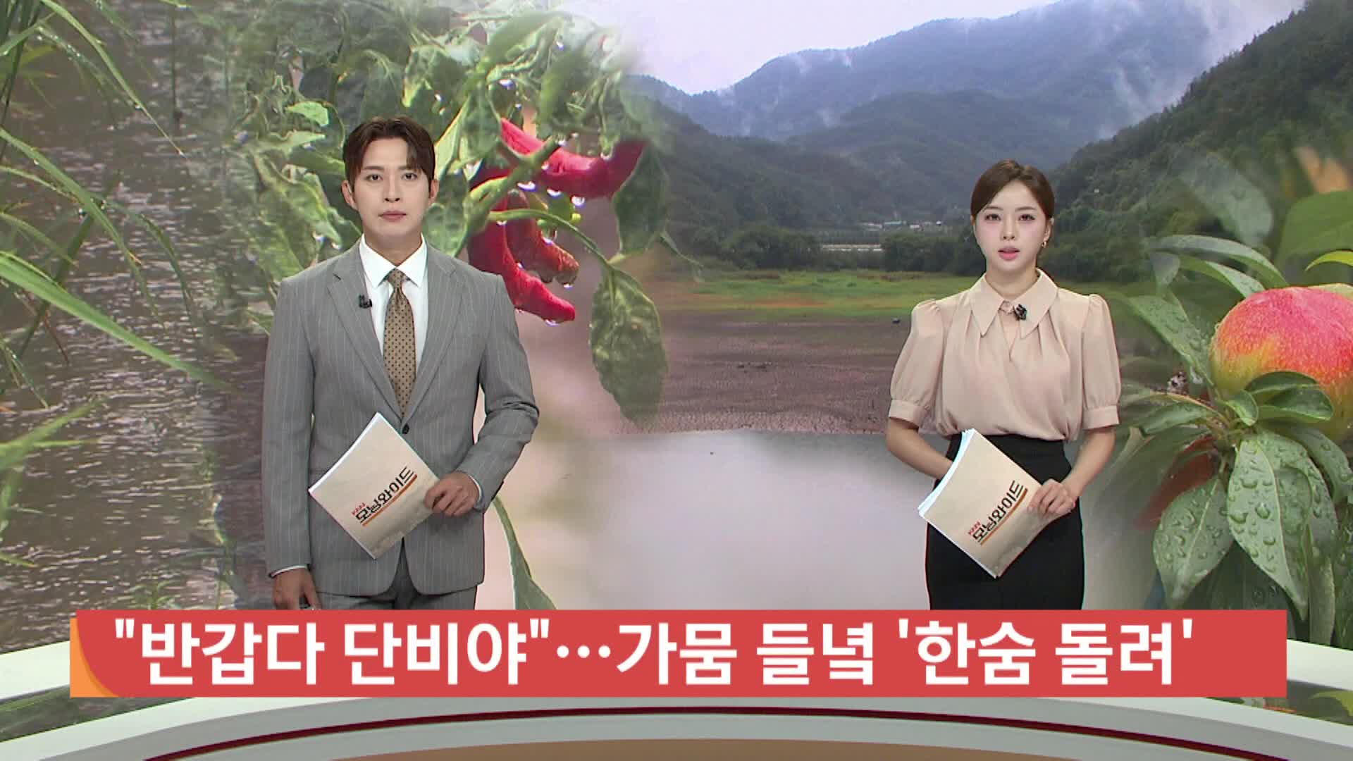 "반갑다 단비야"...가뭄 들녘 '한숨 돌려'