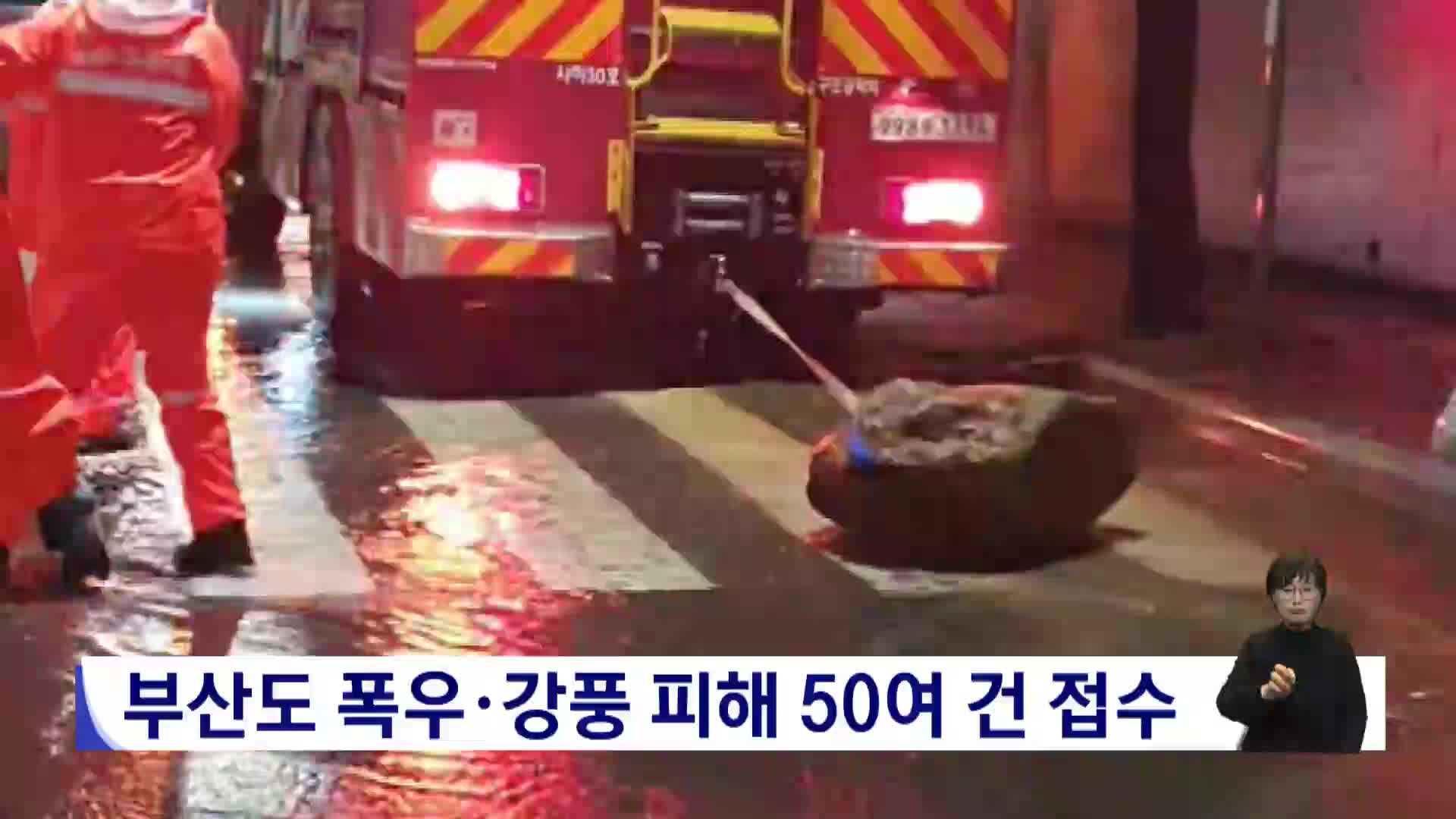 부산도 폭우*강풍피해 50여건 접수