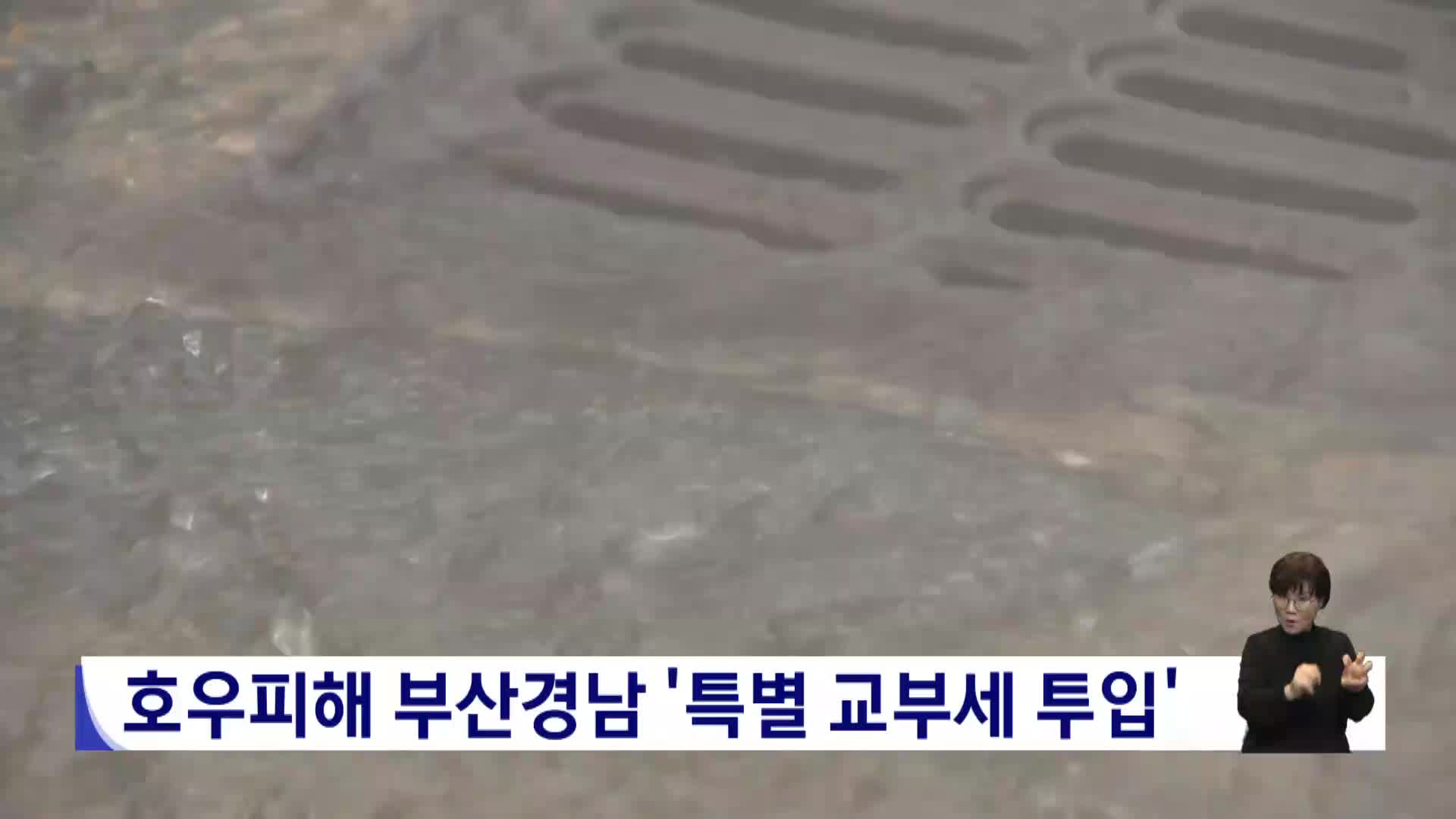 극한호우 부산경남, 특별 교부세 투입