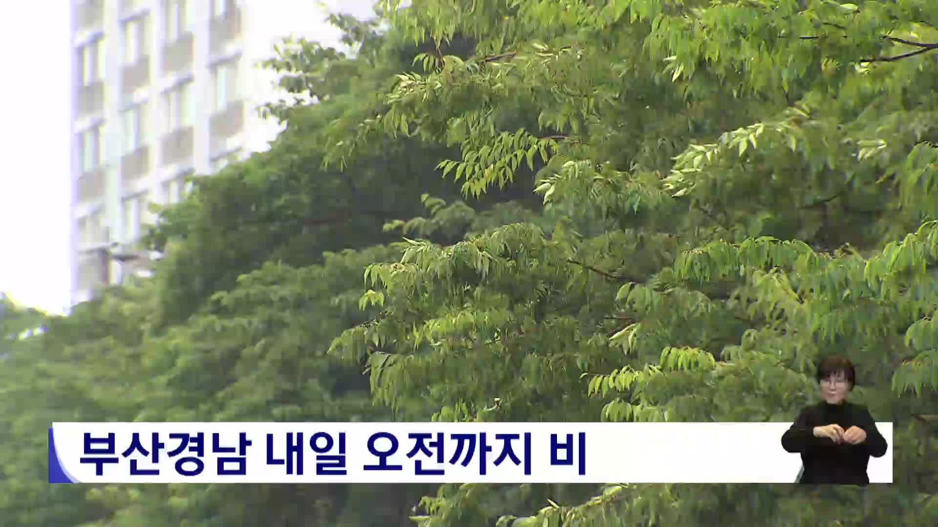 <뉴스아이 날씨>부산경남 내일 오전까지 비