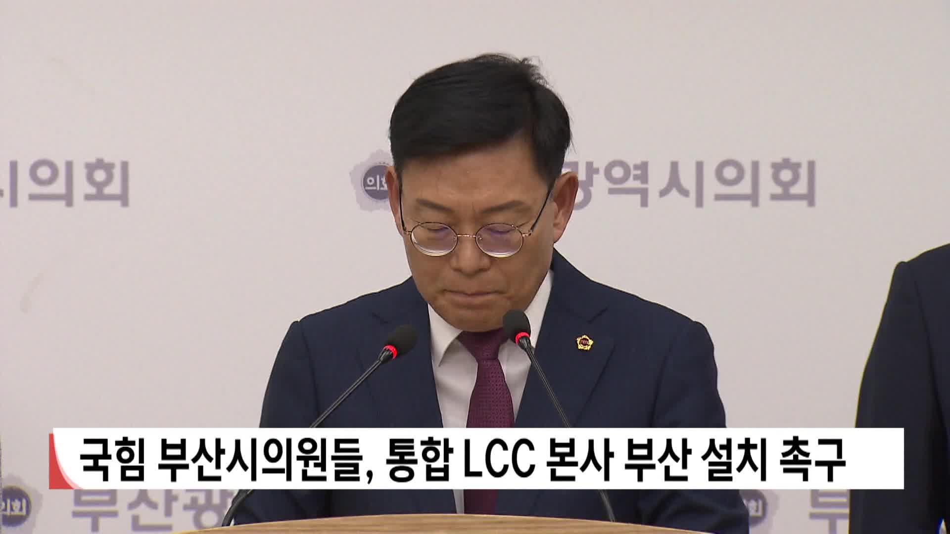 국힘 부산시의원들, 통합 LCC 본사 부산 설치 촉구