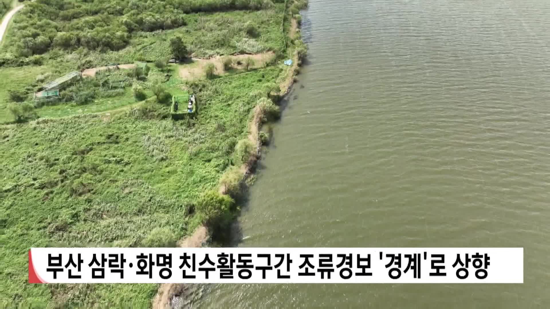 부산 삼락*화명 친수활동구간 조류경보 '경계'로 상향