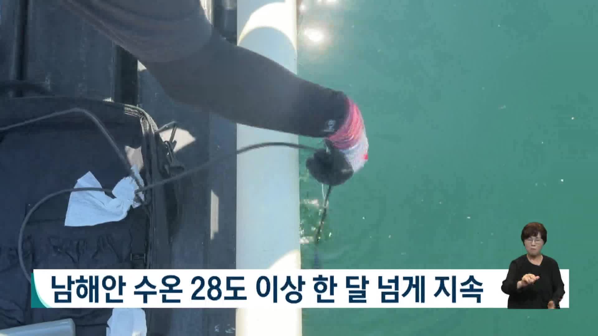 남해안 수온 28도 이상 한 달 넘게 지속