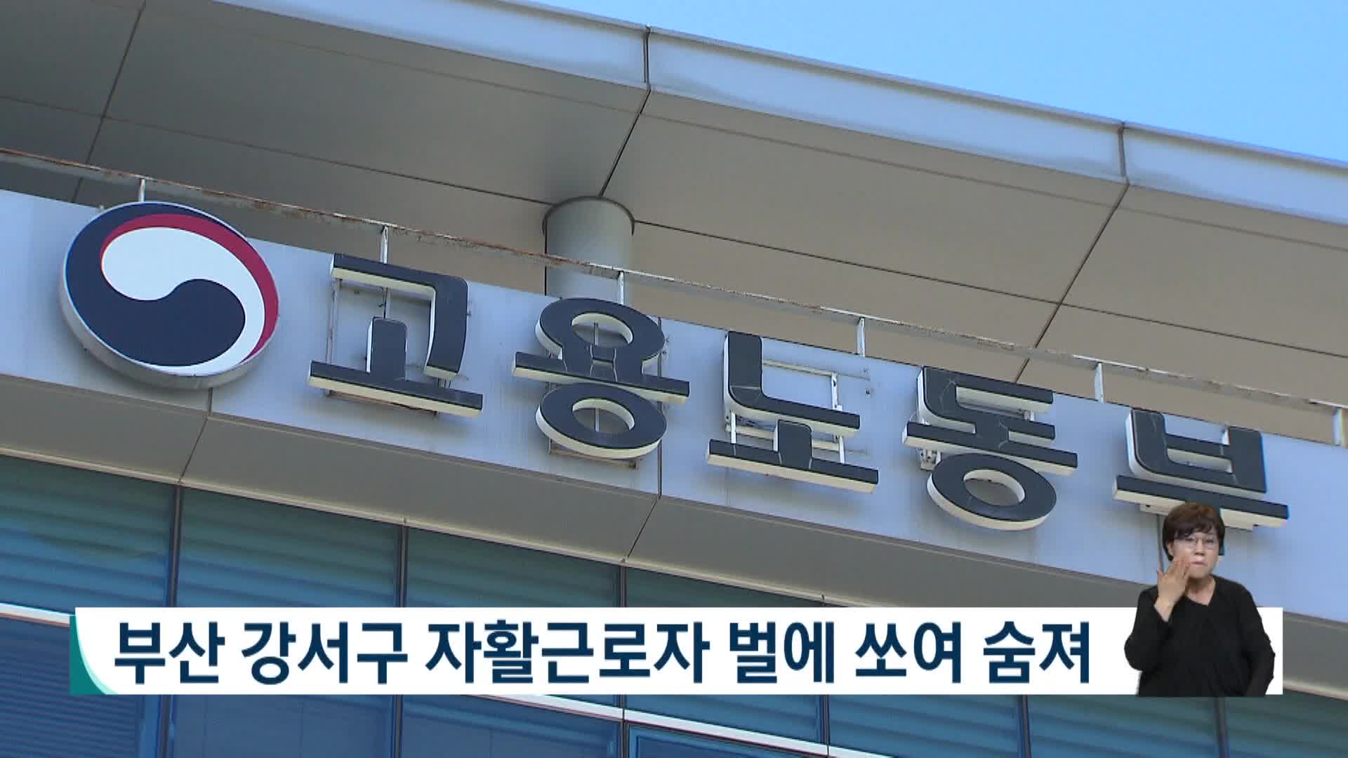 부산 강서구 자활근로자 벌에 쏘여 숨져, 노동청 수사