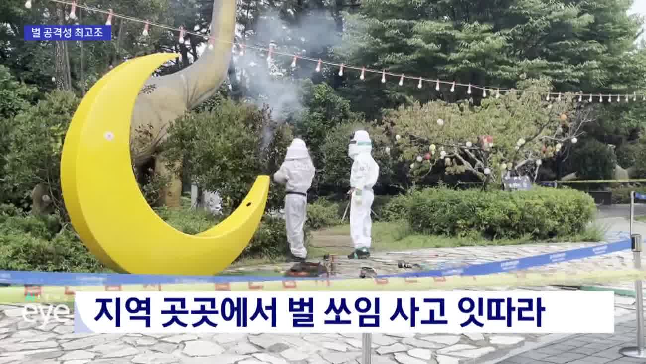 말벌 쏘여 심정지..9월 벌쏘임 주의보 