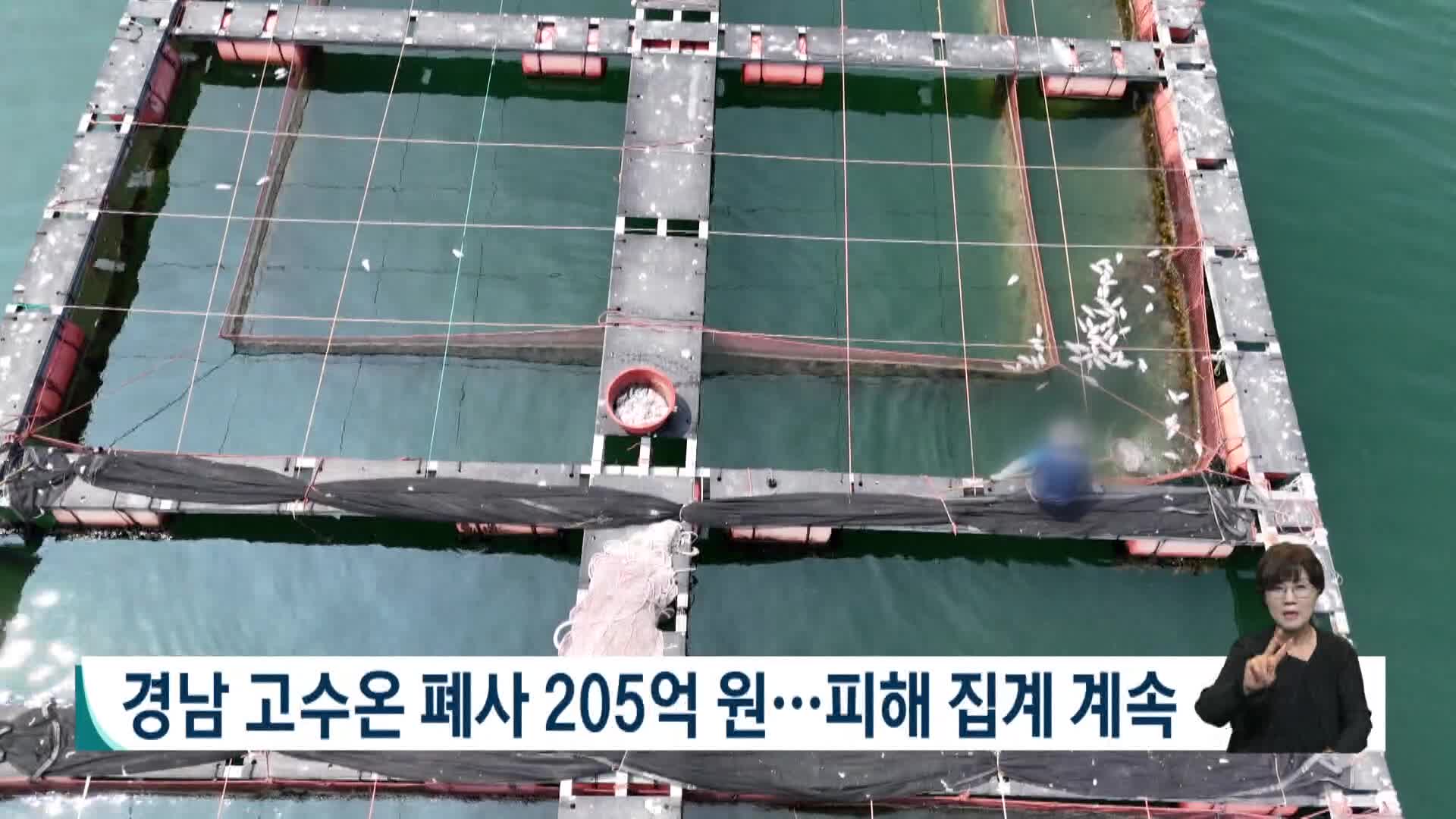 경남 고수온 폐사 205억 원..피해 집계 계속
