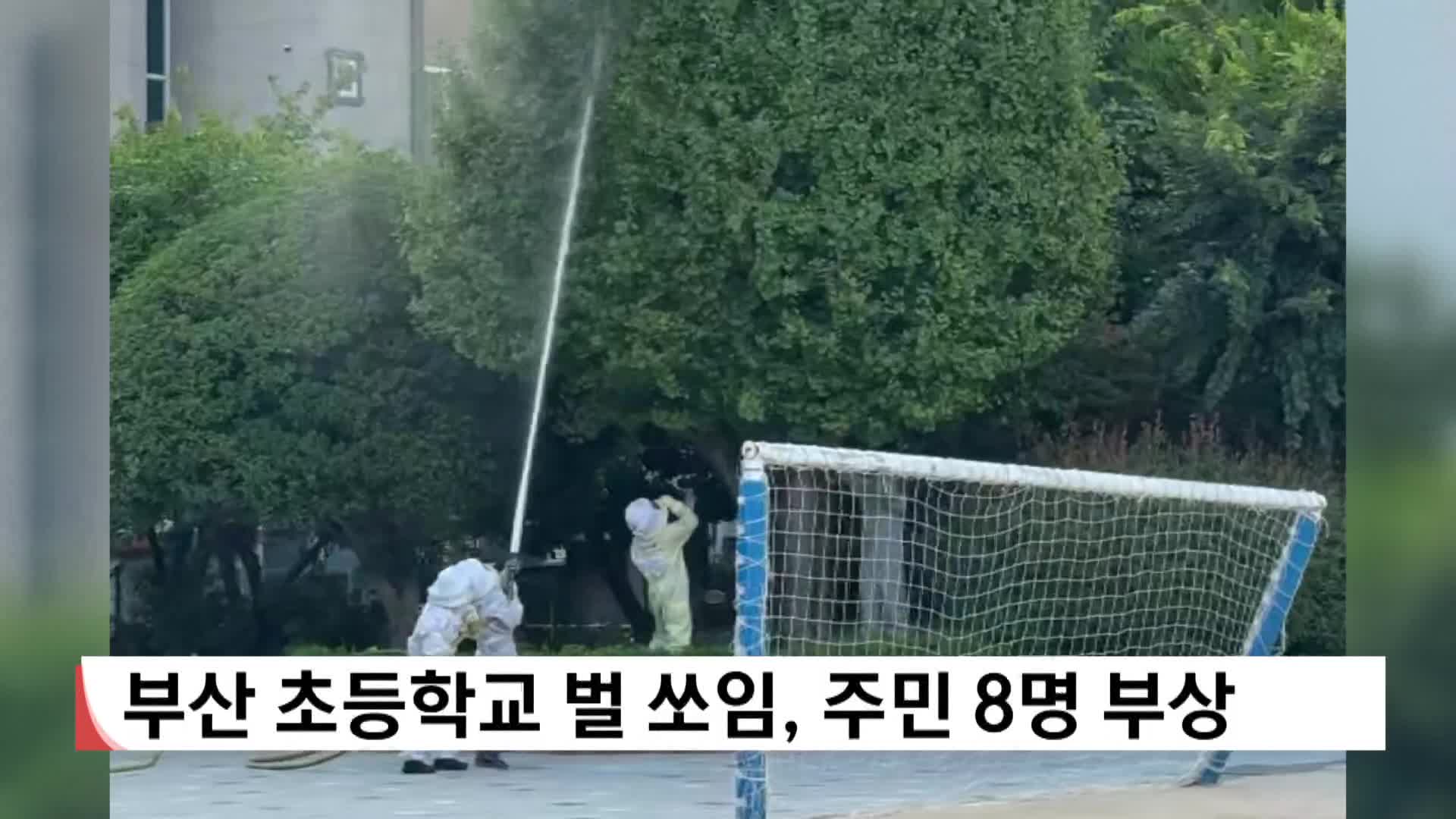 부산 초등학교 벌 쏘임, 주민 8명 부상
