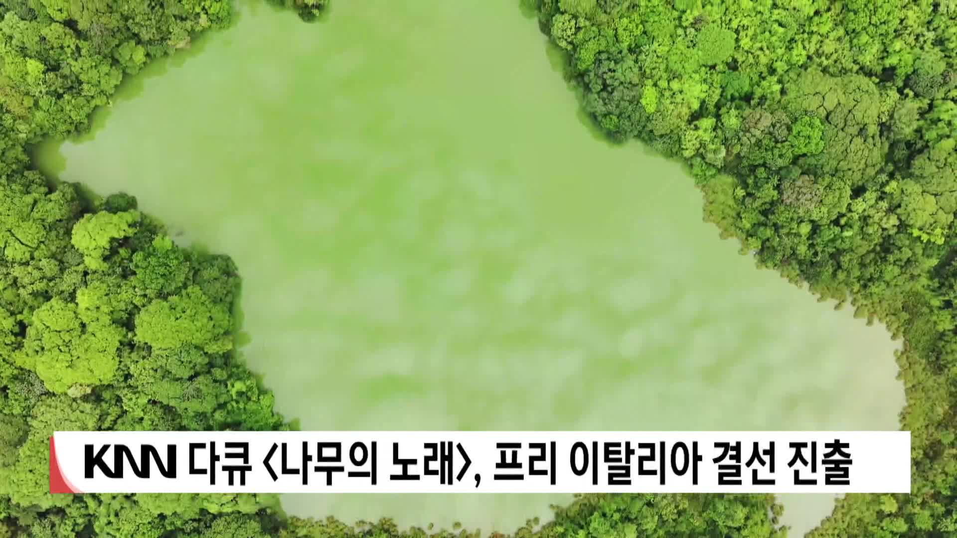 KNN 다큐 <나무의 노래>, 프리 이탈리아 결선 진출