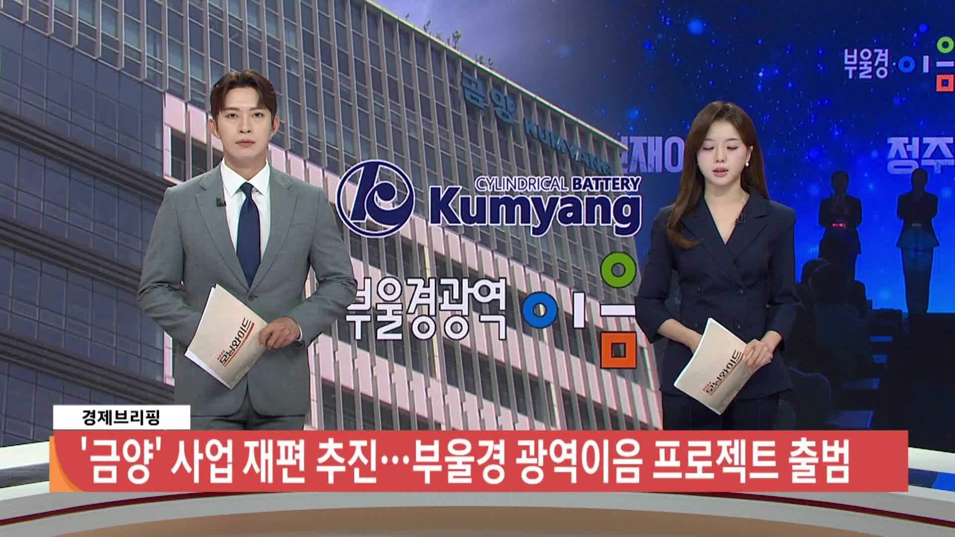 [경제브리핑 ]  금양  사업재편 추진