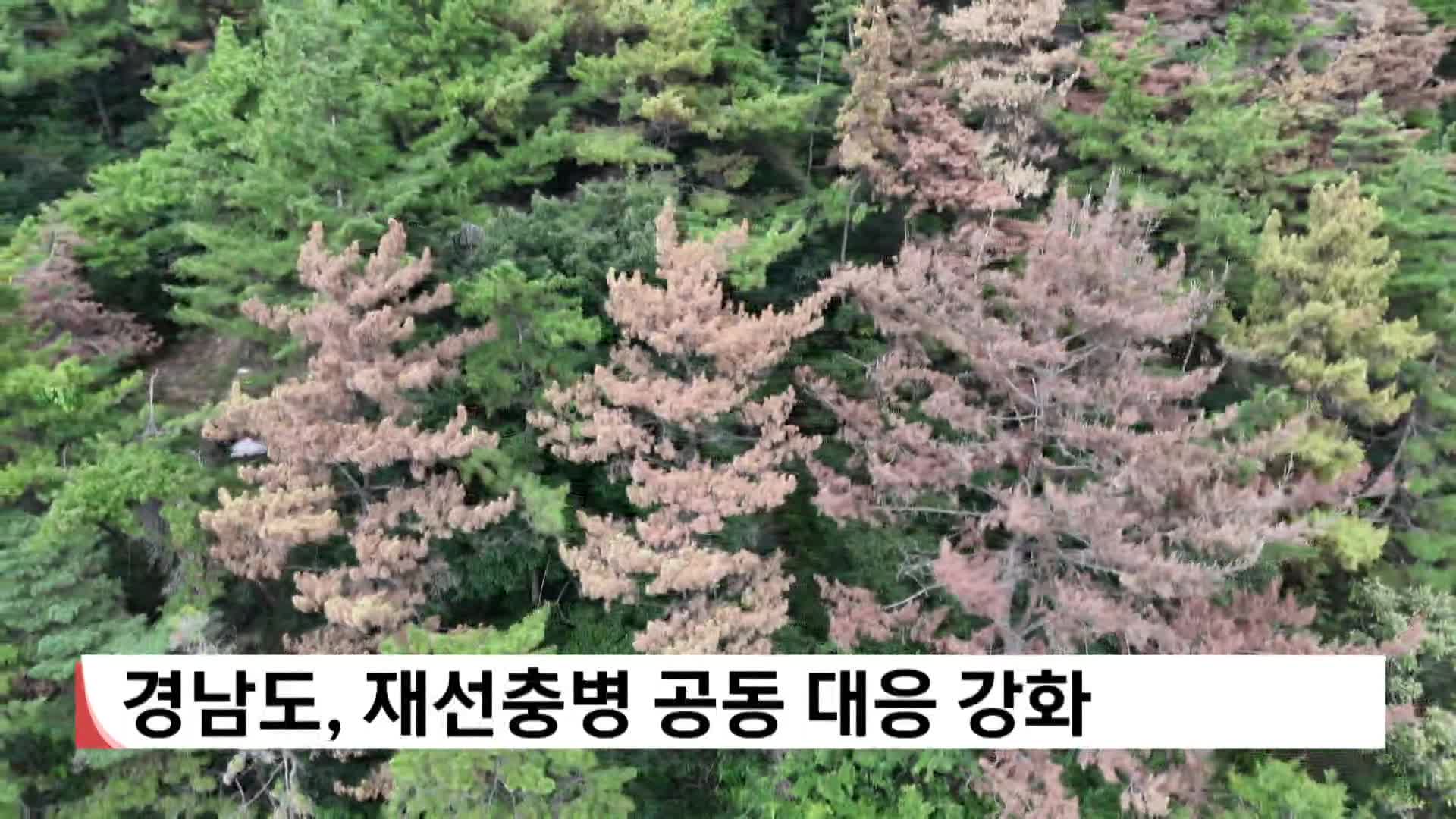 경남도, 재선충병 공동대응 강화